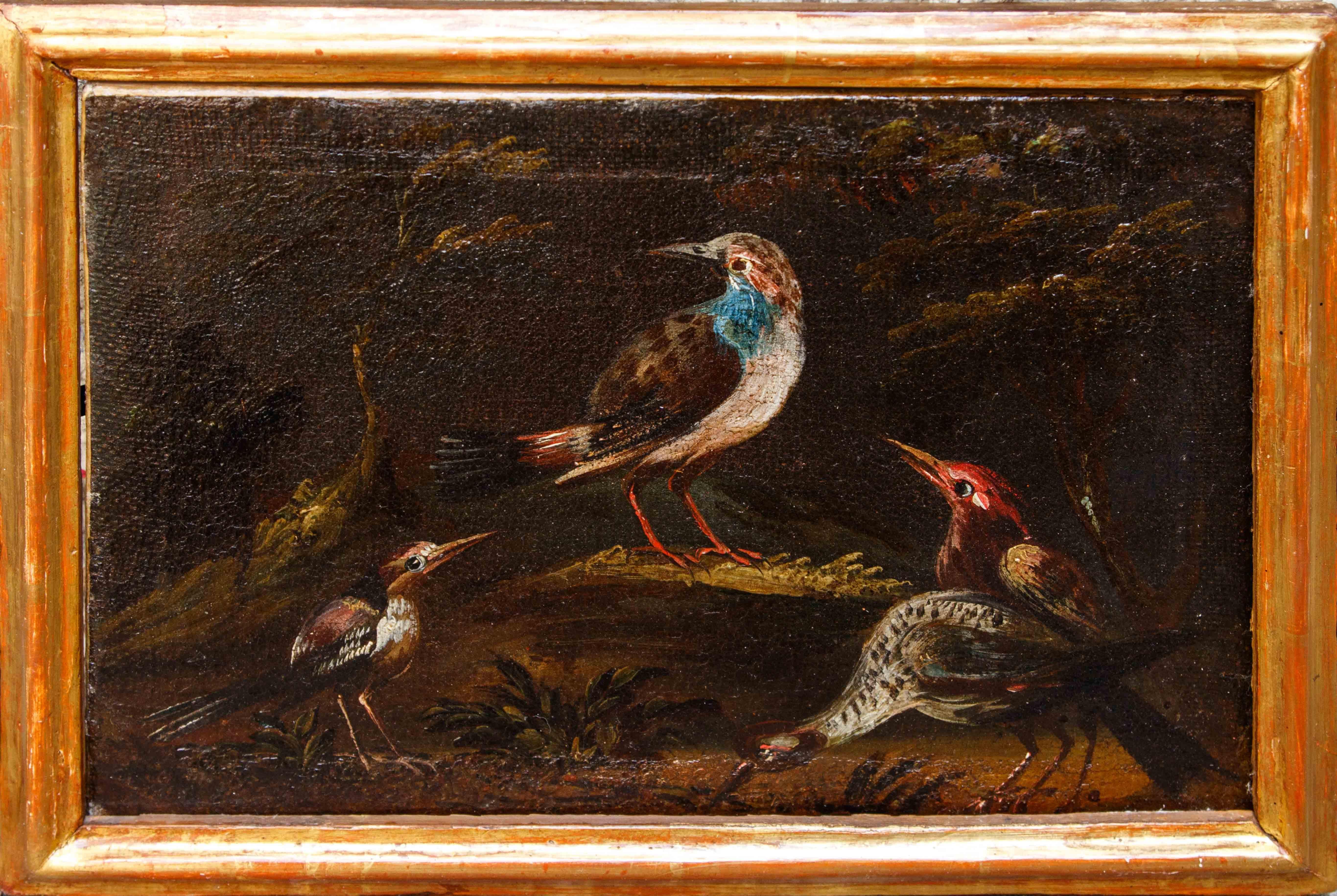 Prima metà del XVIII secolo, scuola bresciana, Coppia di nature vive con uccelli im Angebot 3