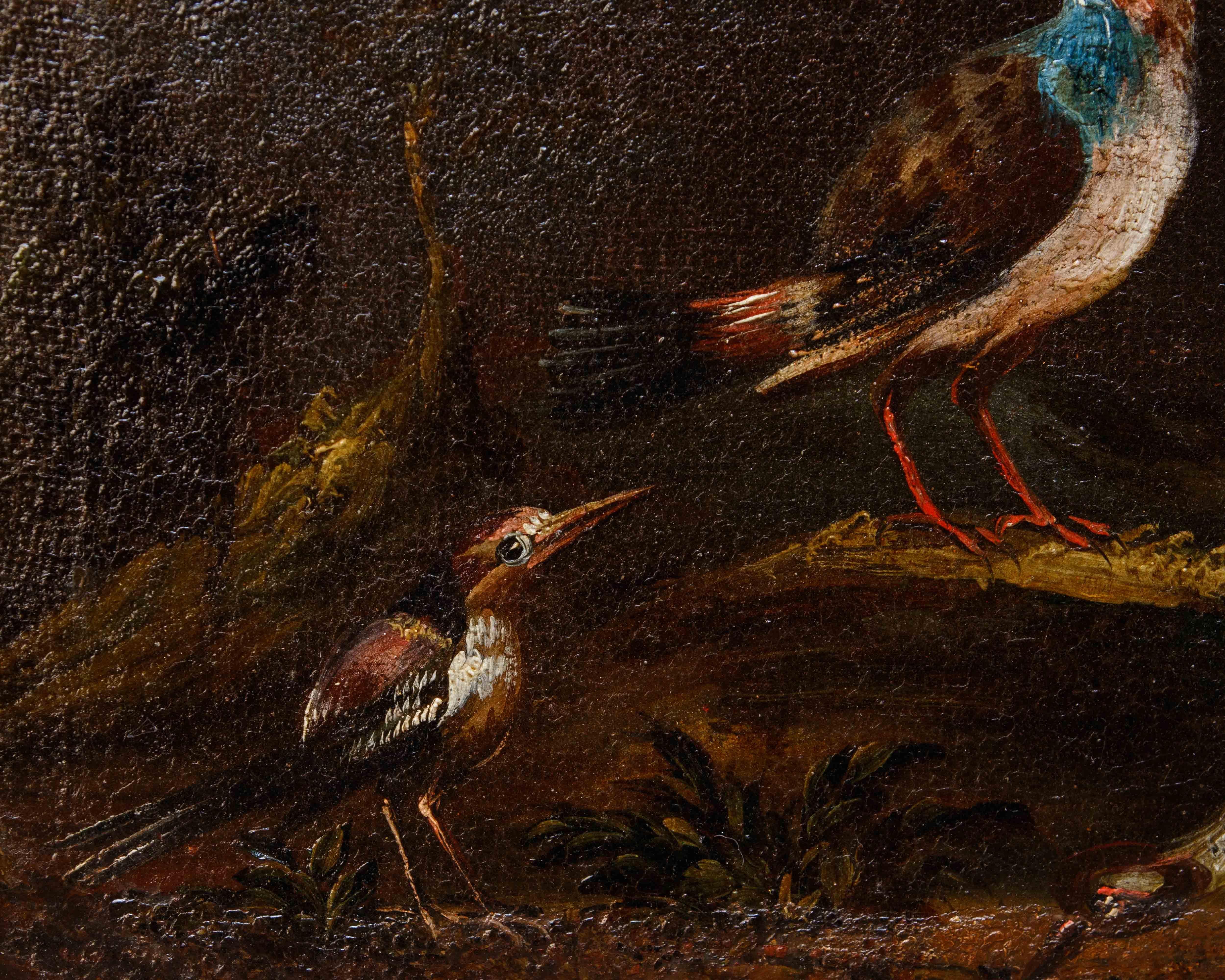 Prima metà del XVIII secolo, scuola bresciana, Coppia di nature vive con uccelli im Angebot 4