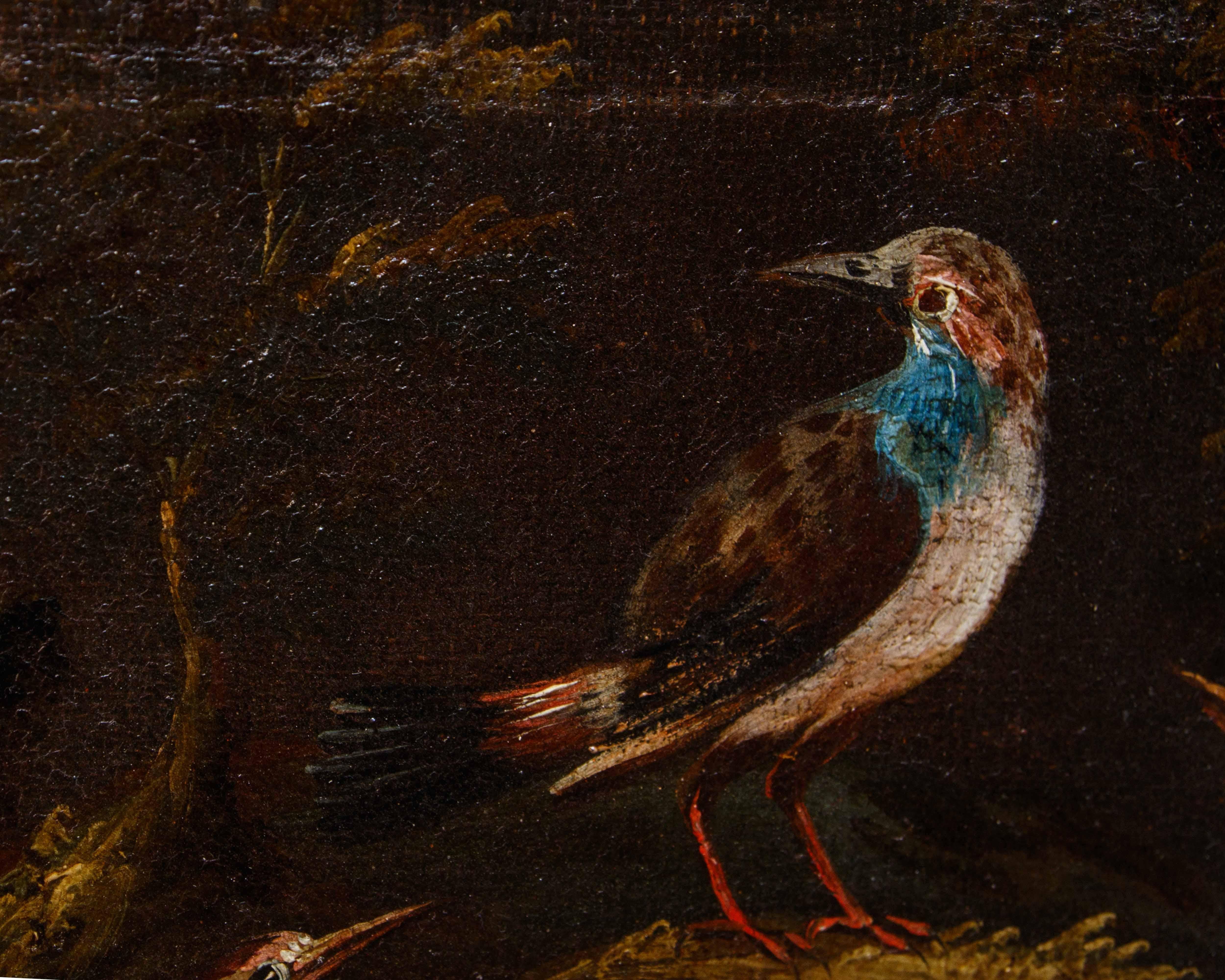 Prima metà del XVIII secolo, scuola bresciana, Coppia di nature vive con uccelli im Angebot 5