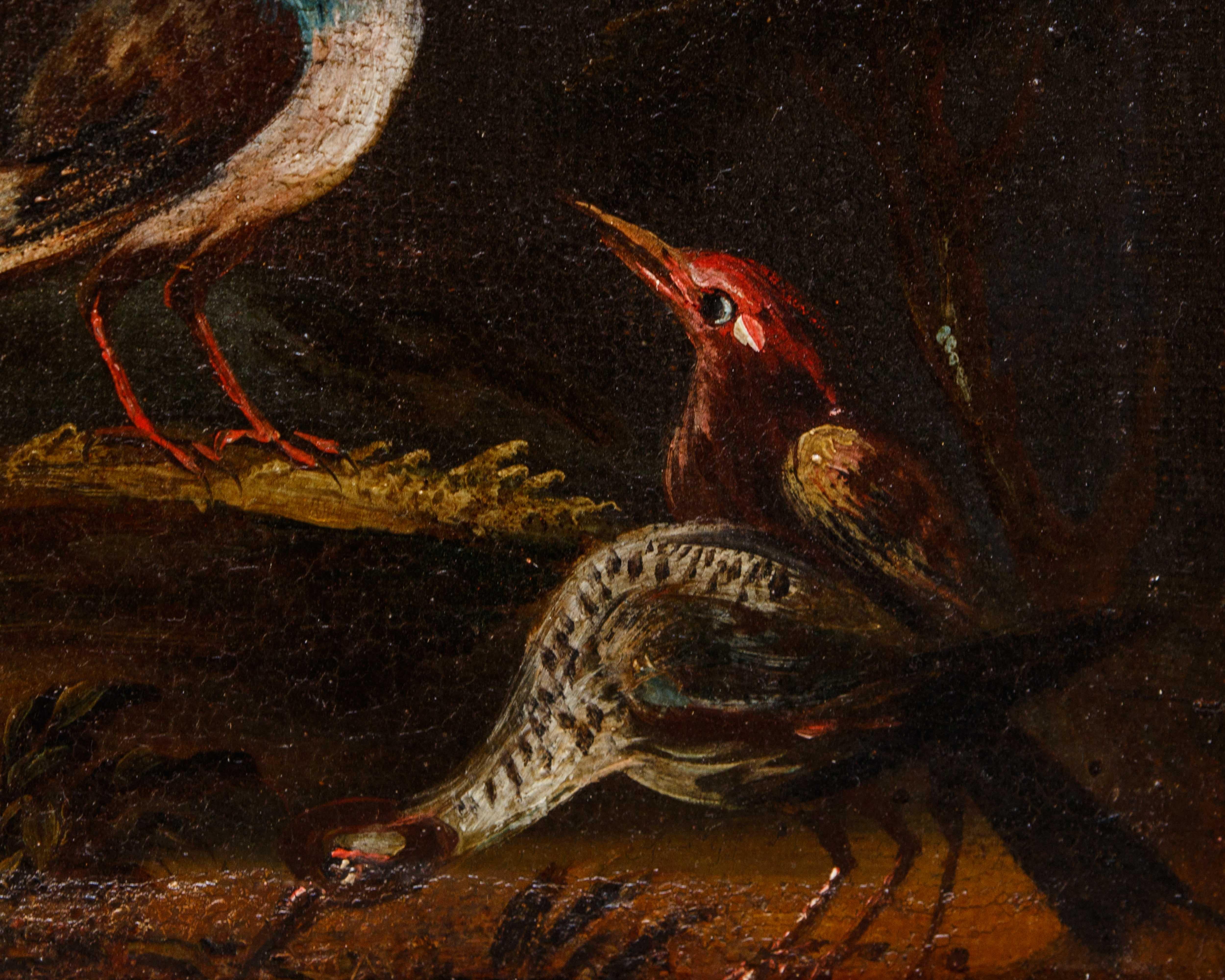 Prima metà del XVIII secolo, scuola bresciana, Coppia di nature vive con uccelli im Angebot 6
