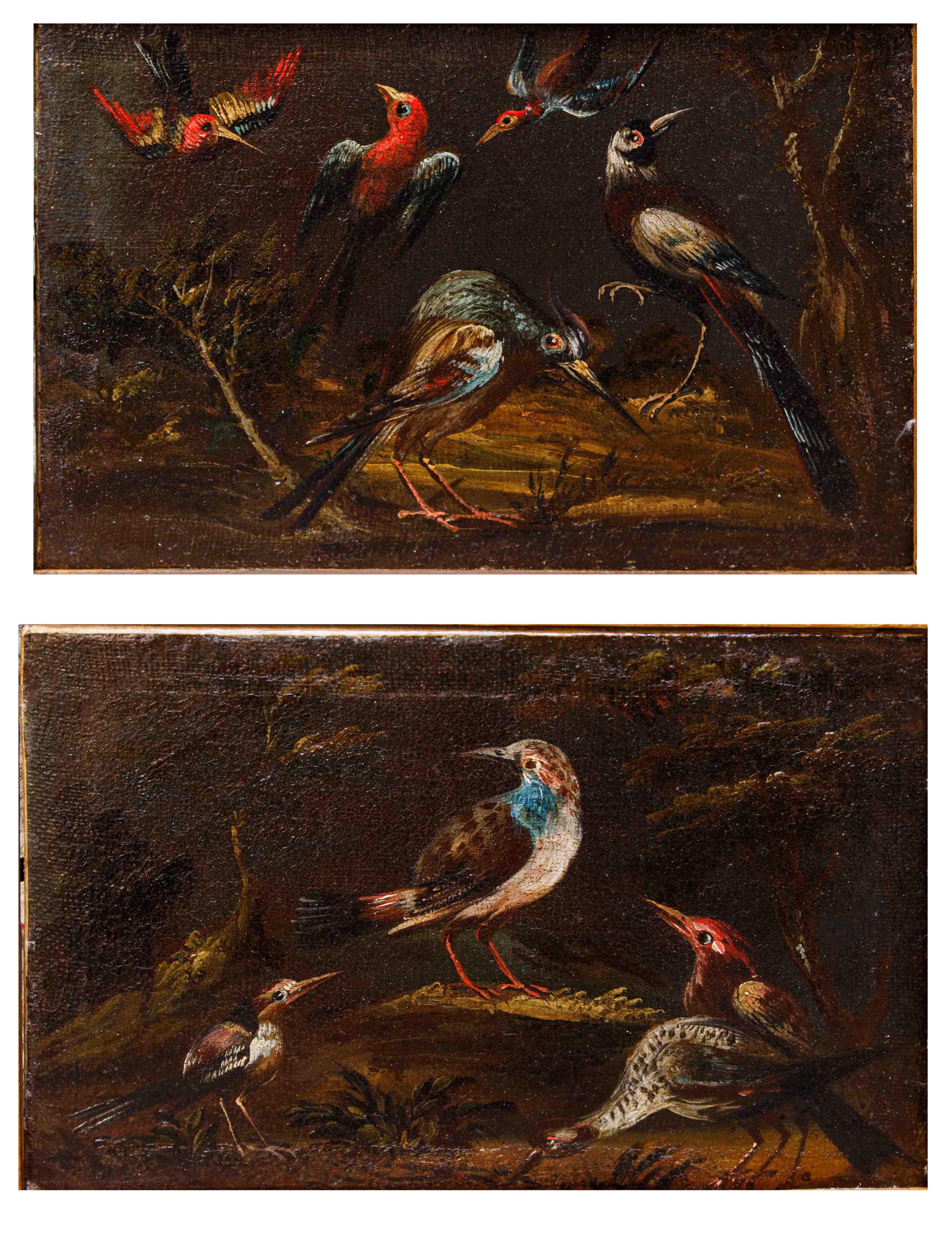 Prima metà del XVIII secolo, scuola bresciana, Coppia di nature vive con uccelli im Angebot 8
