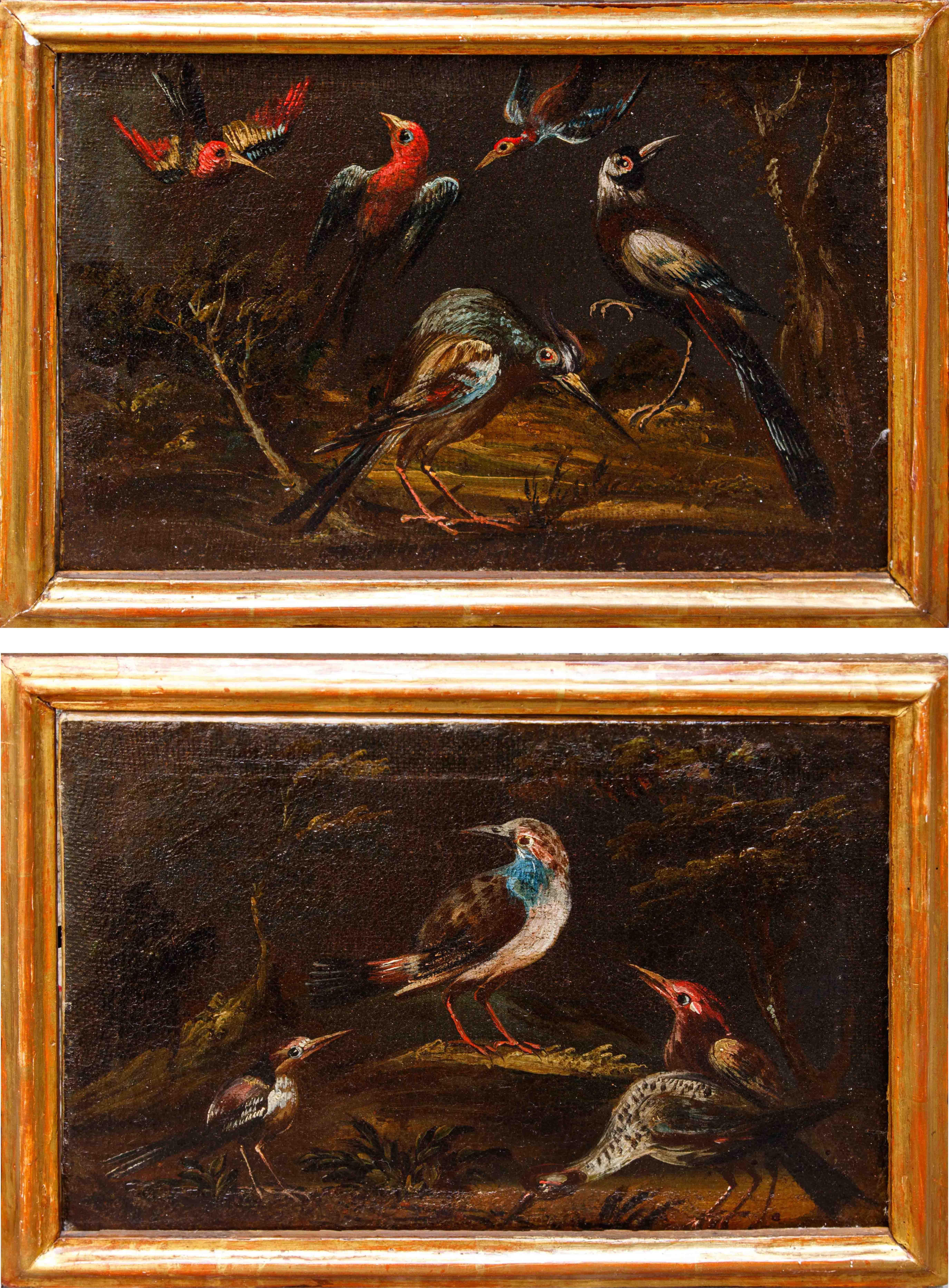Prima metà del XVIII secolo, scuola bresciana, Coppia di nature vive con uccelli im Angebot 9