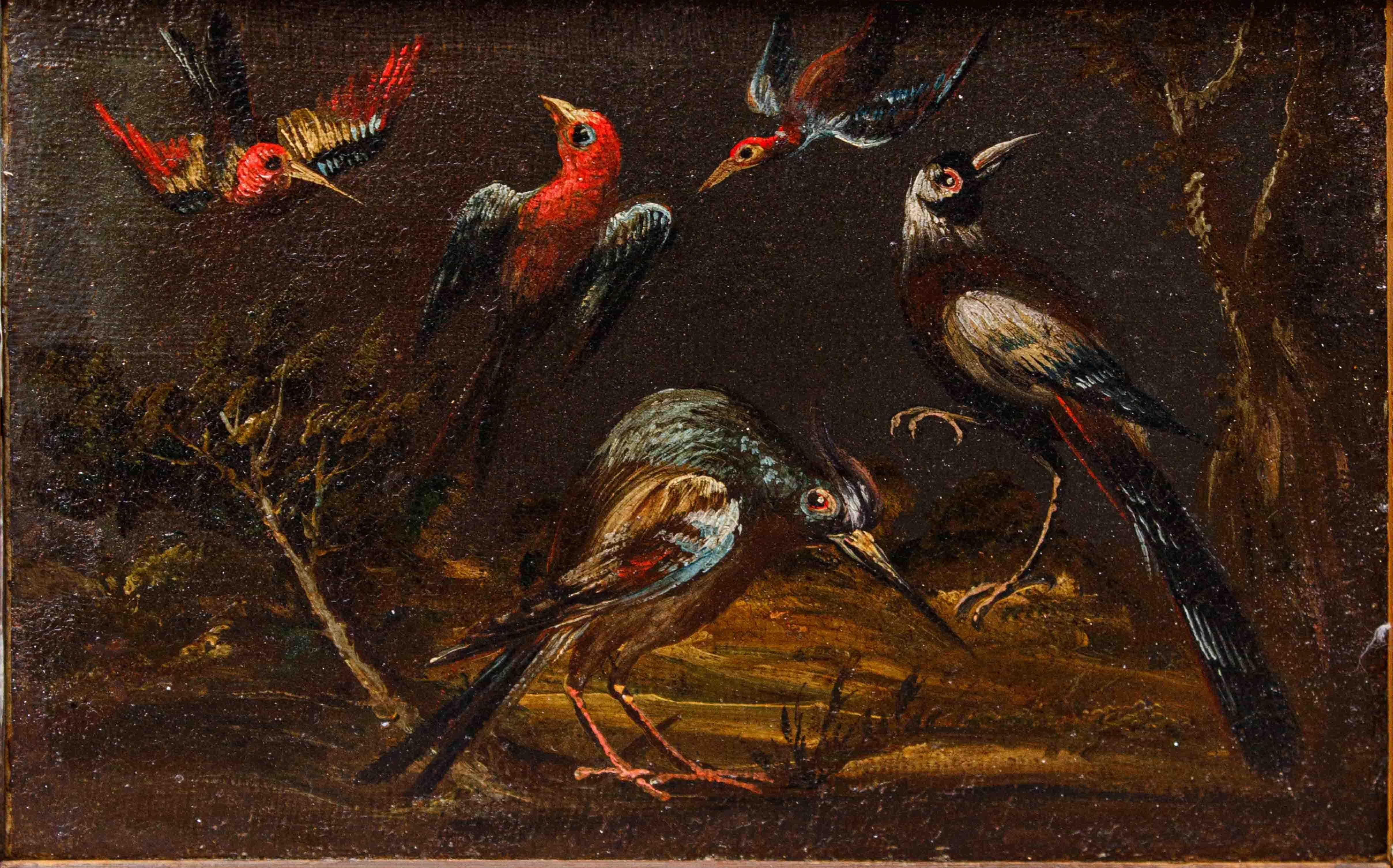 Prima metà del XVIII secolo, scuola bresciana

Coppia di nature vive con uccelli 

(2) Olio su tela, cm 33,5 x 24

Con cornice, cm 28 x 38

La scuola pittorica norditaliana sviluppò a partire dal XVI secolo una particolare predilezione per un