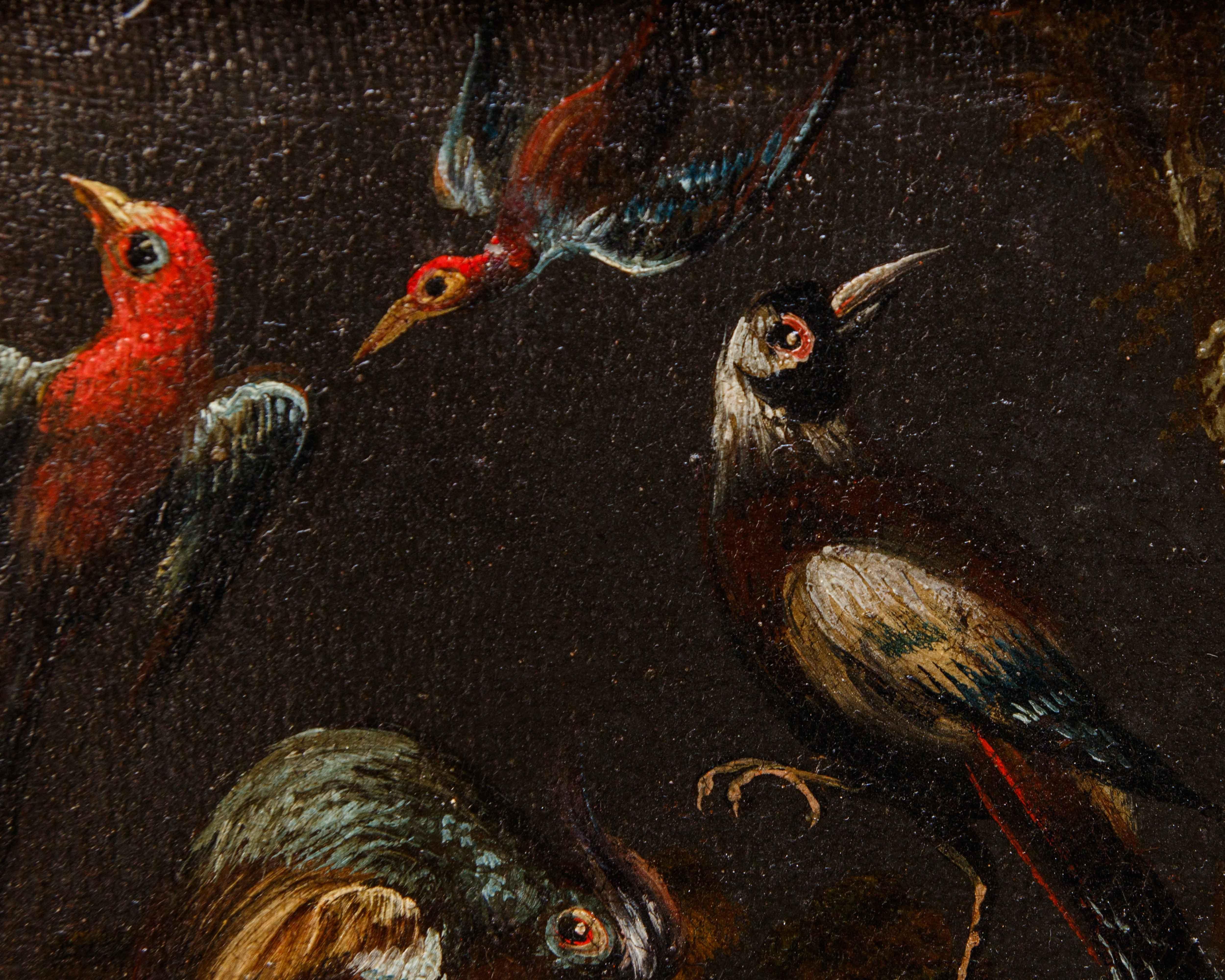Prima metà del XVIII secolo, scuola bresciana, Coppia di nature vive con uccelli (18th Century and Earlier) im Angebot