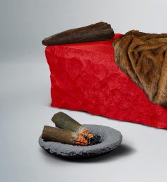 „ Primitive Schlafzimmer“ von Newanderthal für Superego Editions, Italien