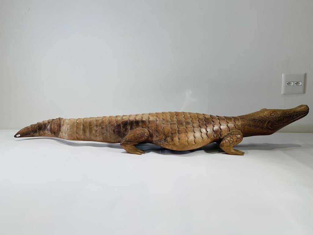 Incredible and big primitive brazilian sculpture in noble wood circa 1970 alligator 