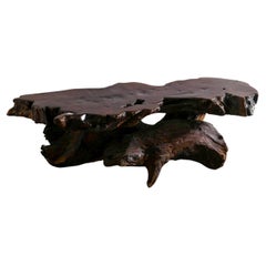 Primitive Brutalist Root Coffee Table in Solid Wood Produced in France 1970s 