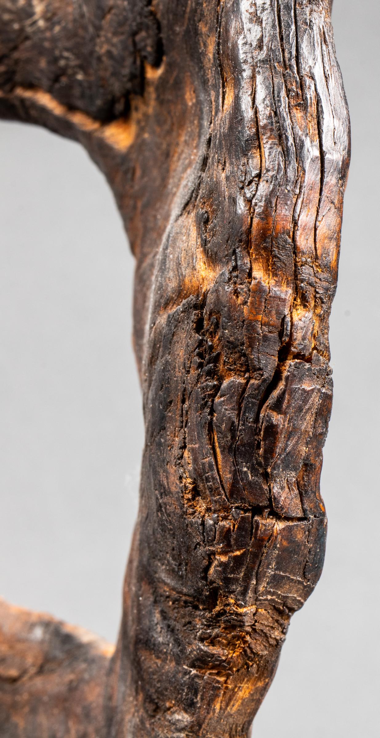 Seau à seau primitif en bois de ronce sculpté en vente 2