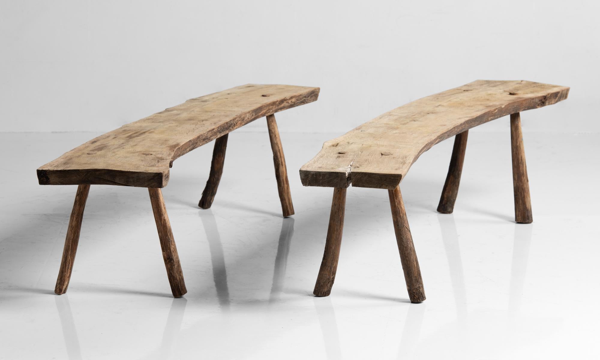 French Primitive Curved Oak Benches, France, circa 1890