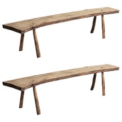 Primitive Curved Oak Benches, France, circa 1890