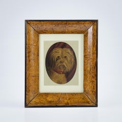 Primitive Dog Portrait of a West Highland White Terrier