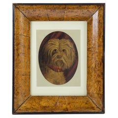 Primitive Dog Portrait of a West Highland White Terrier