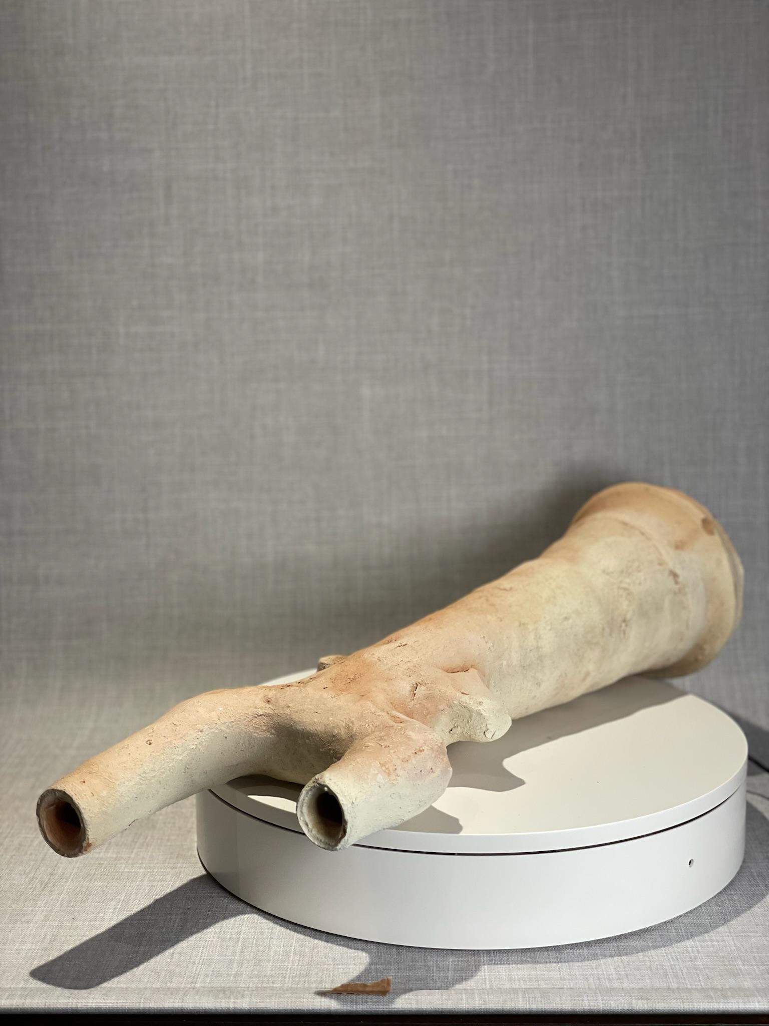 Vaso primitivo a doppio beccuccio in terracotta con forma di albero in vendita 2