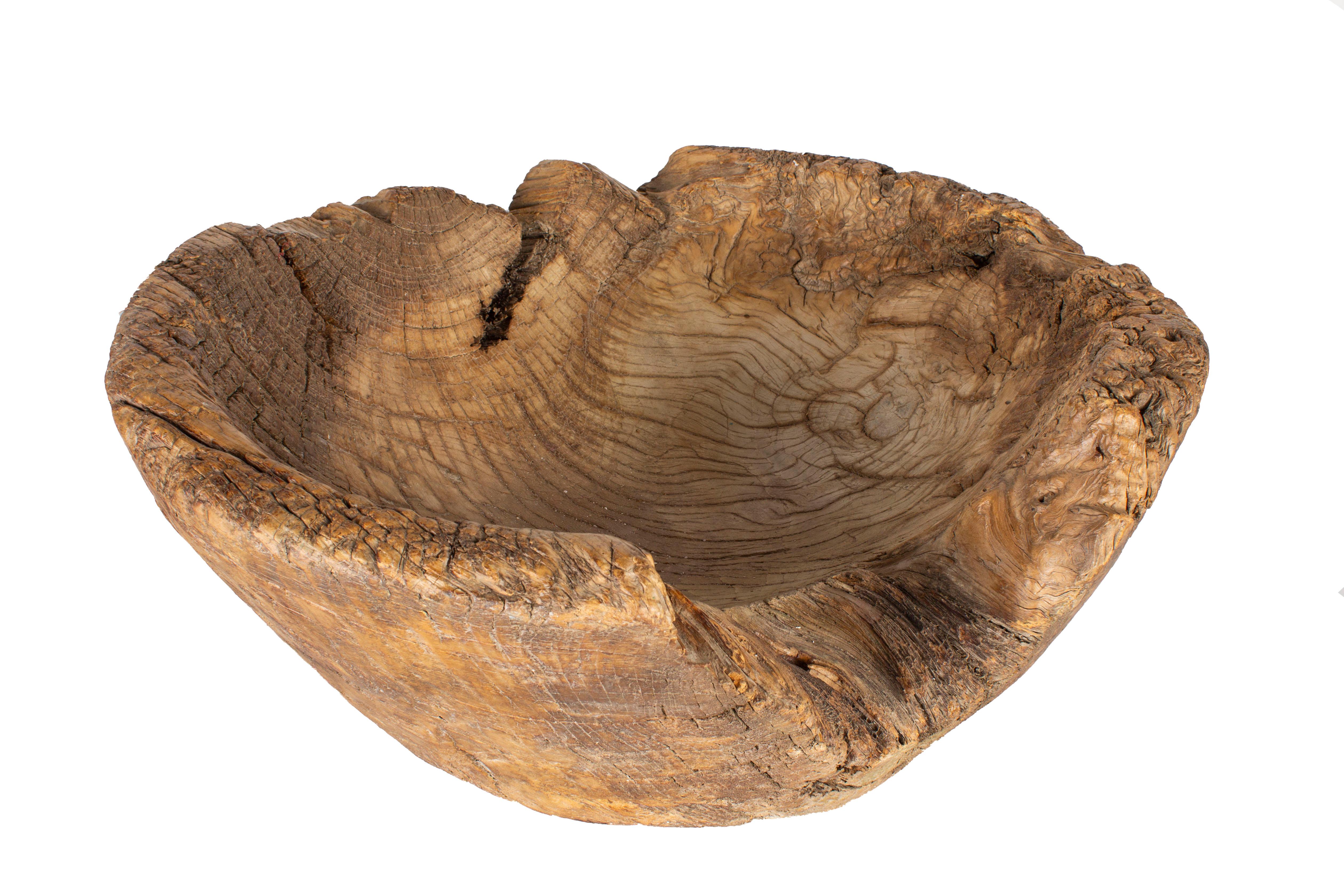 Primitive elm vintage mortar 

One of a kind piece imported from Europe by our sourcing team.