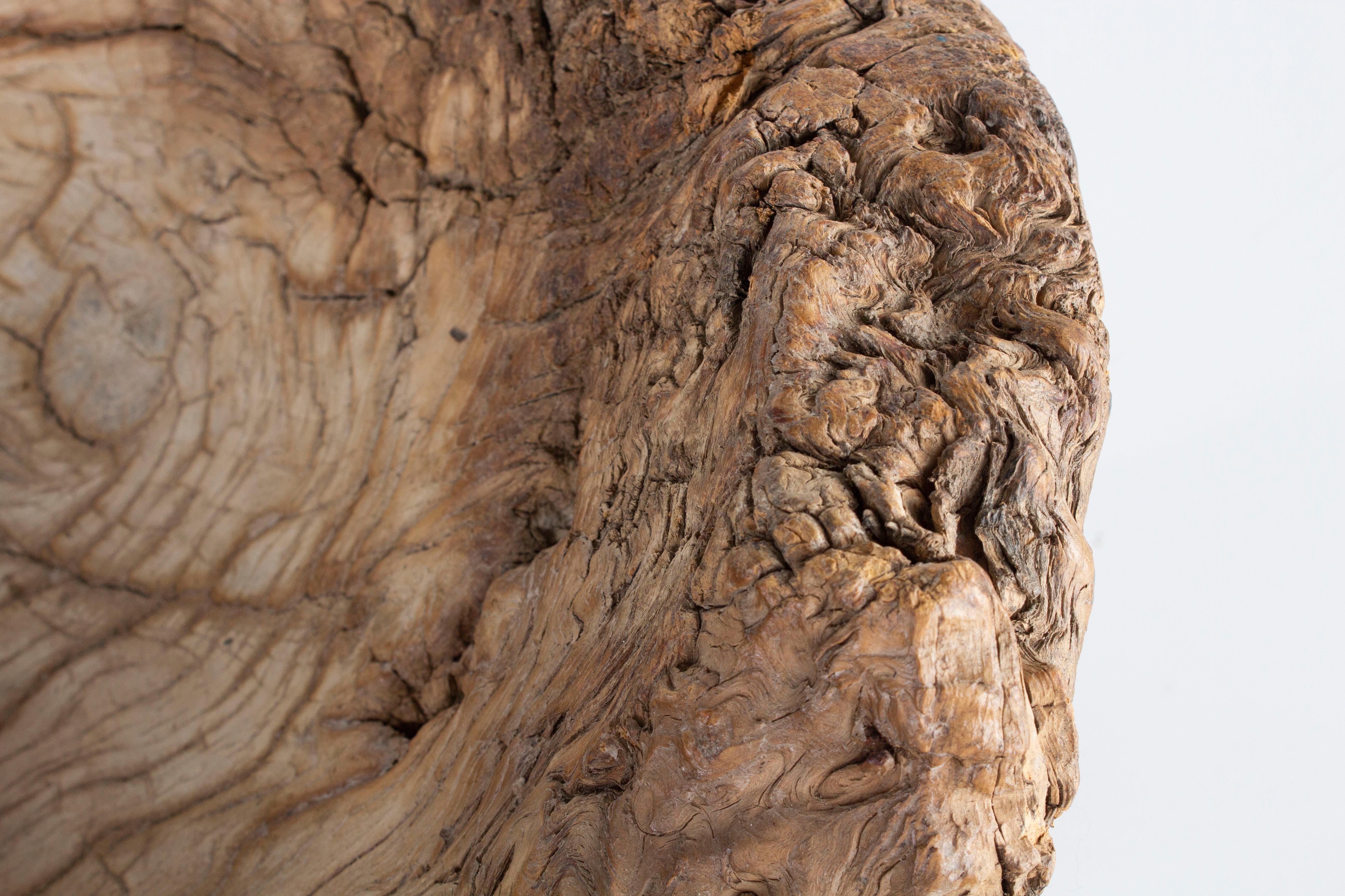 Primitive Elm Vintage Mortar In Good Condition In Dallas, TX