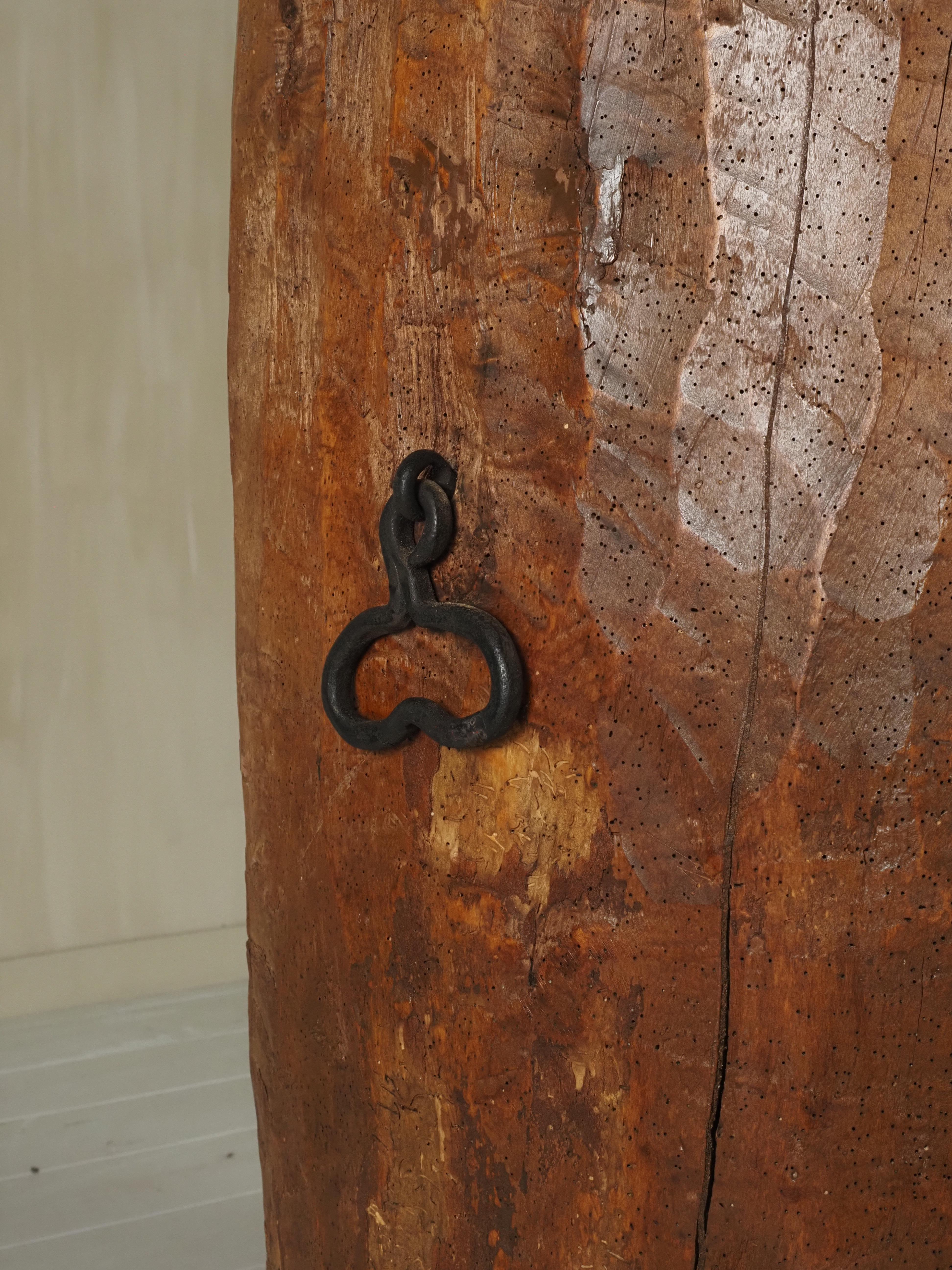 Armadietto d'arte popolare primitiva realizzato con un vecchio tronco d'albero all'inizio del 1900 in vendita 3