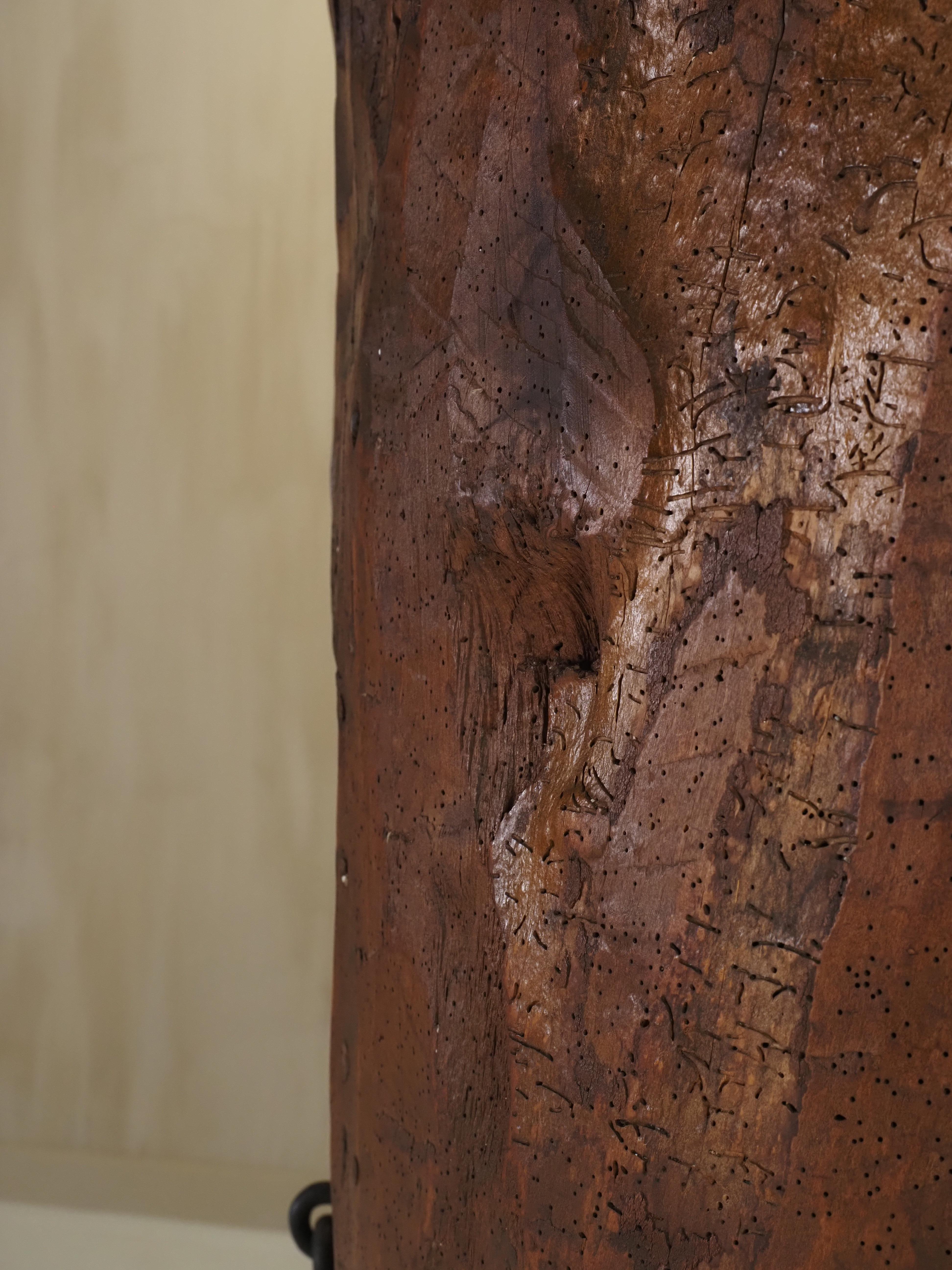 Armadietto d'arte popolare primitiva realizzato con un vecchio tronco d'albero all'inizio del 1900 in vendita 12