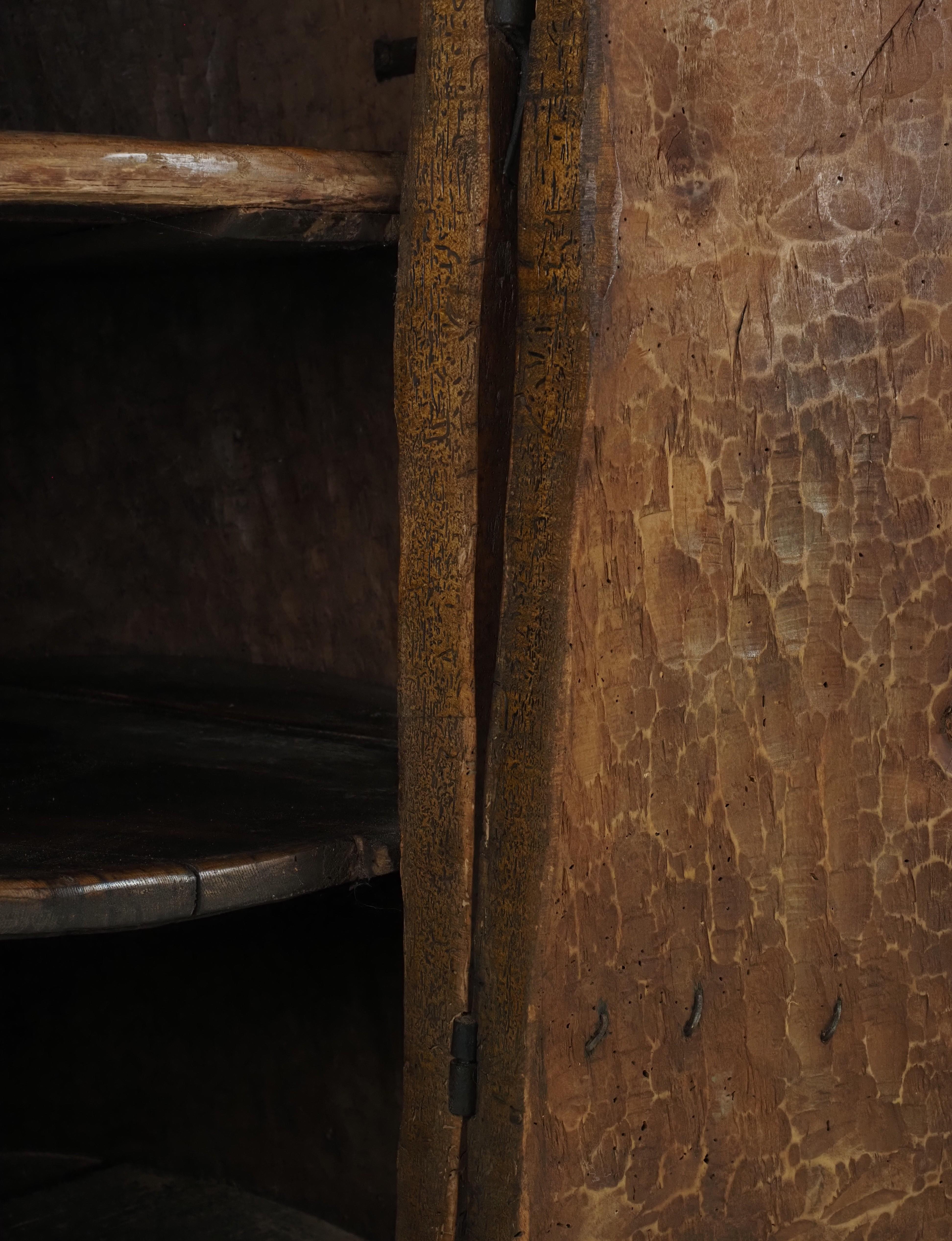 Stile provenzale Armadietto d'arte popolare primitiva realizzato con un vecchio tronco d'albero all'inizio del 1900 in vendita