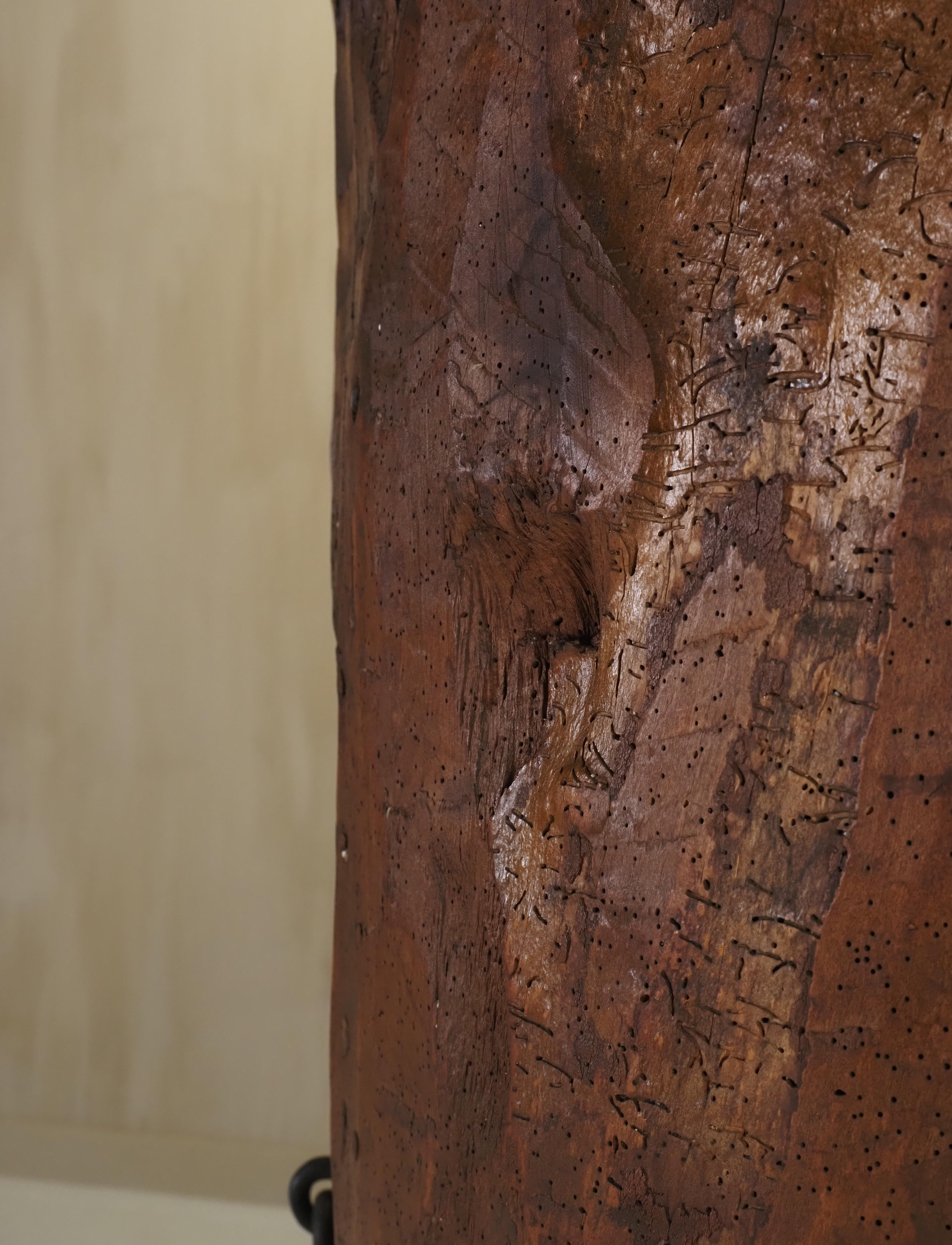 Inizio XX secolo Armadietto d'arte popolare primitiva realizzato con un vecchio tronco d'albero all'inizio del 1900 in vendita