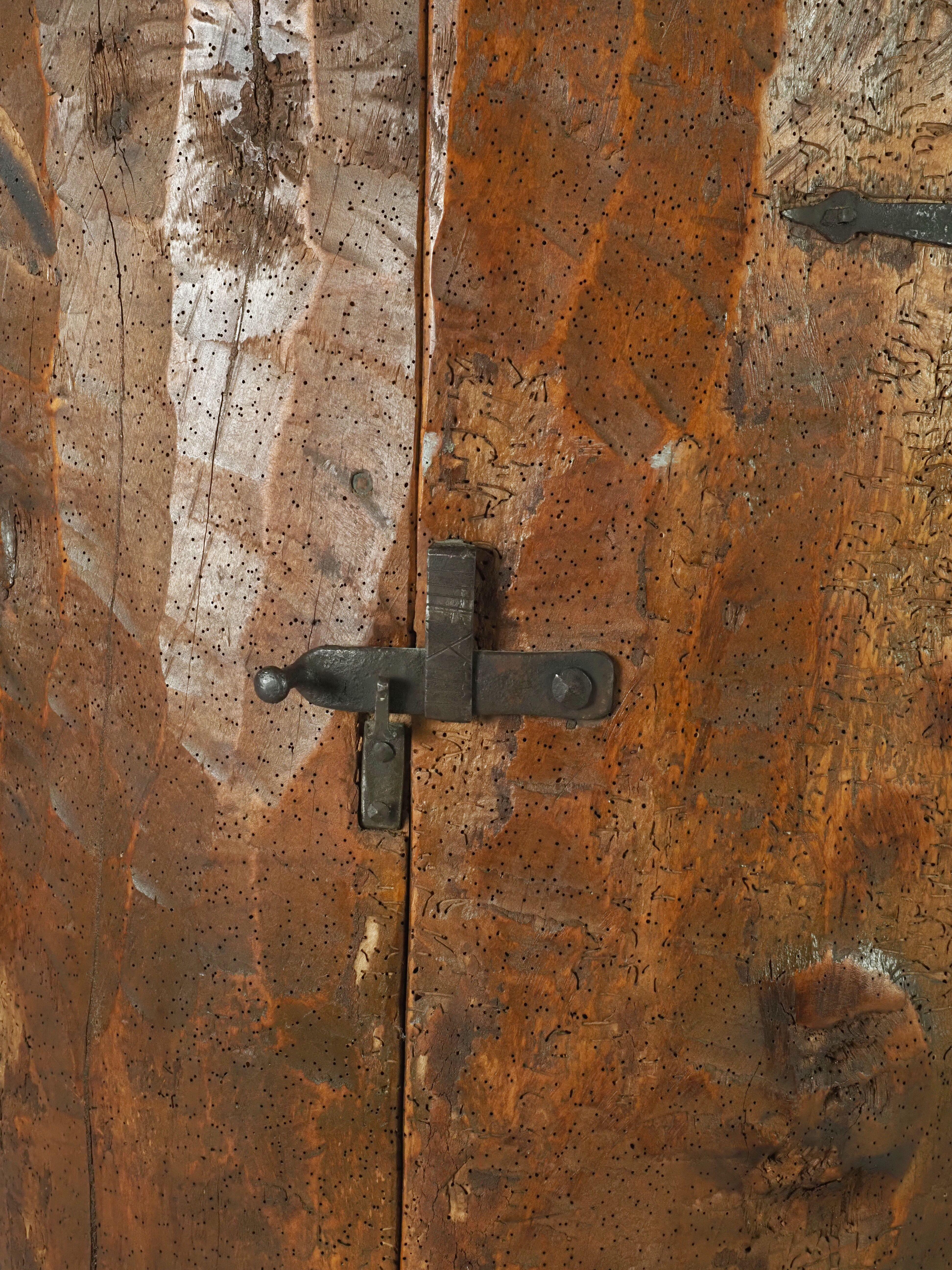 Armadietto d'arte popolare primitiva realizzato con un vecchio tronco d'albero all'inizio del 1900 in vendita 2