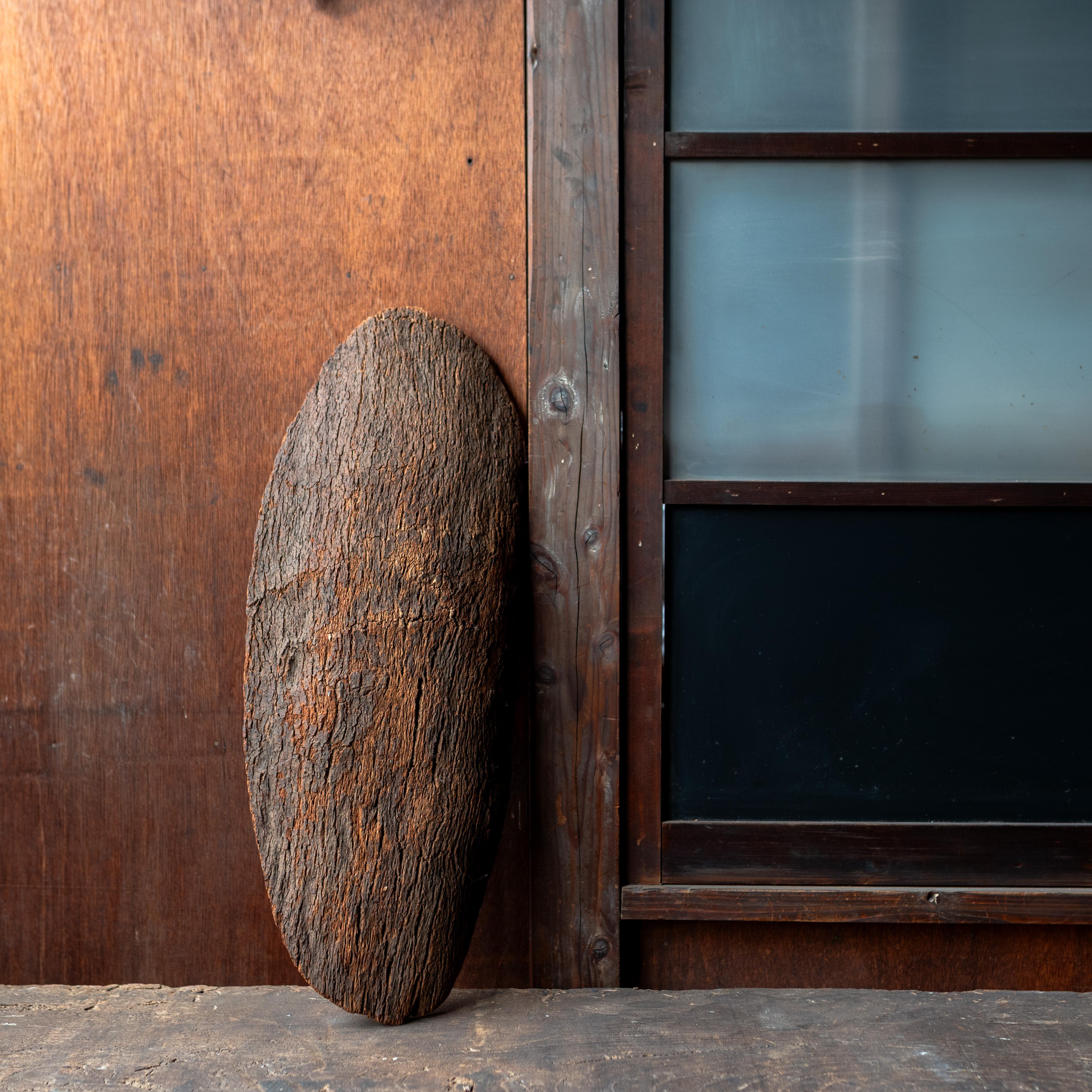 Primitiver handgeschnitzter Holztrog, 19. Jahrhundert (Europäisch) im Angebot