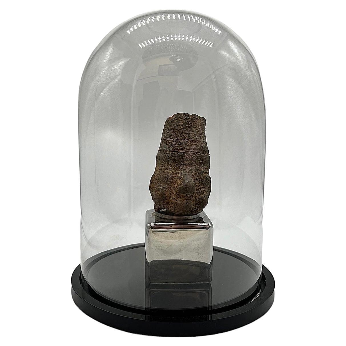 Figure de tête primitive de la période précolombienne en pierre fabriquée