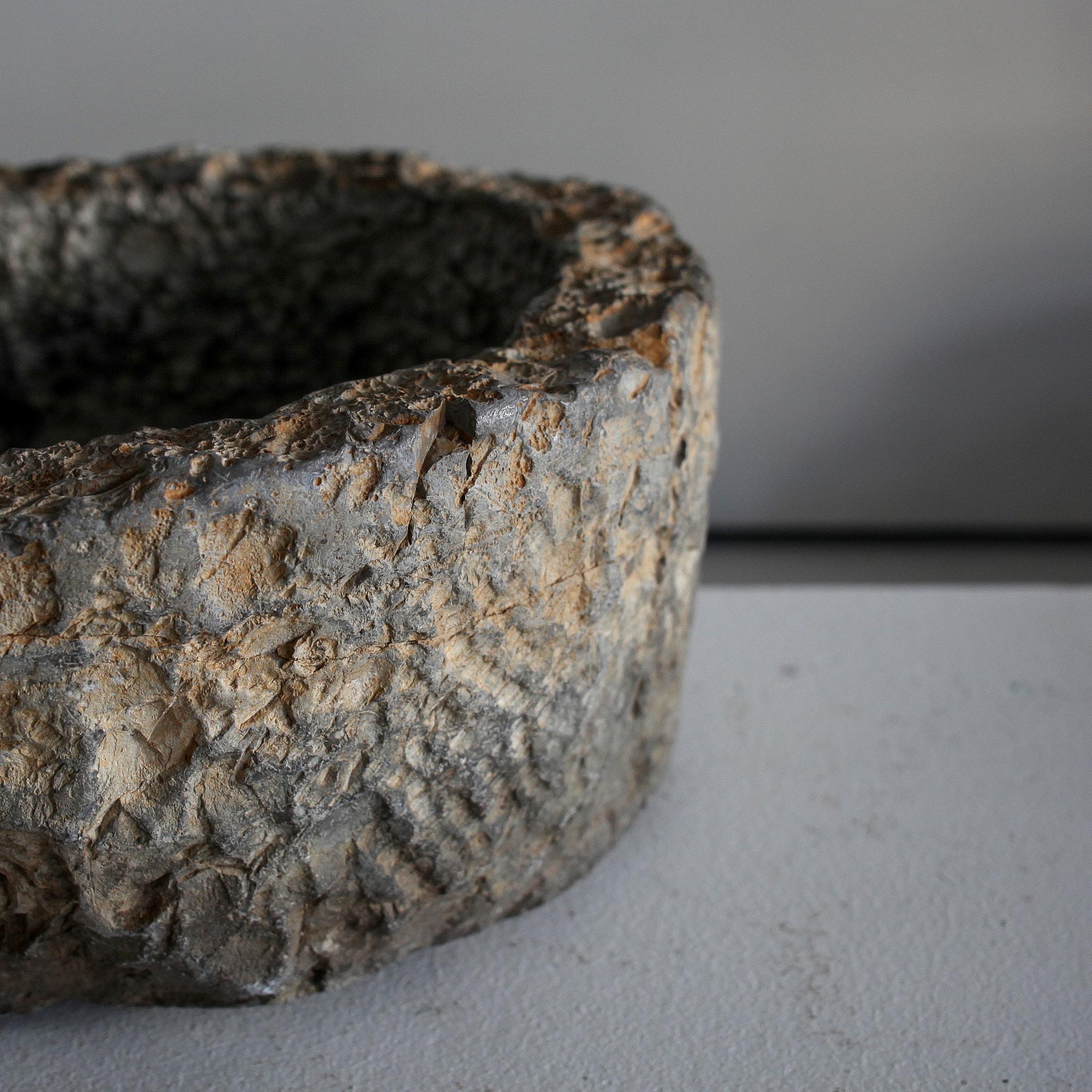 Grand récipient portugais primitif en pierre sculptée ancienne en vente 2