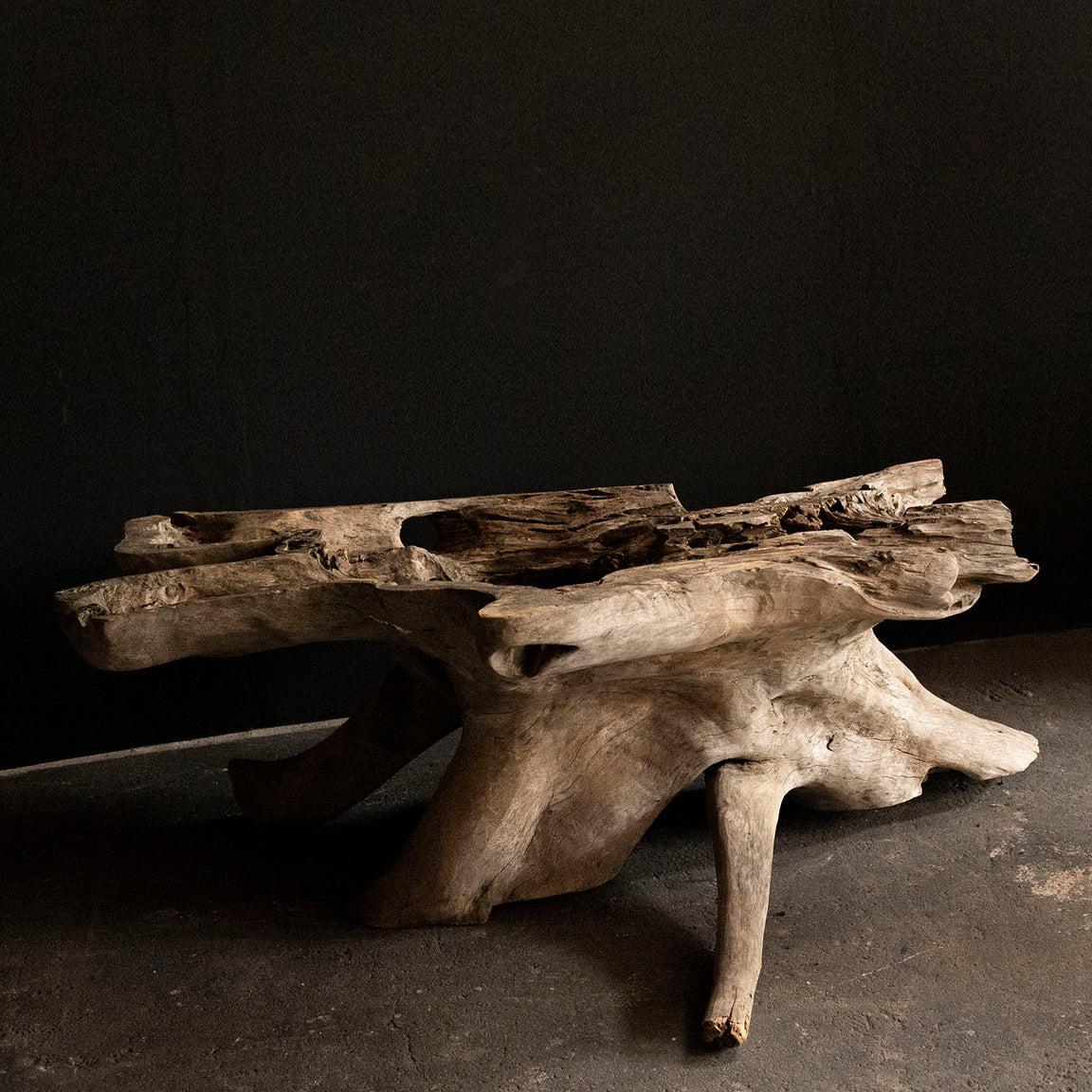 A part near the root of a large tree that is perfect for a large ornament.
It will be nice for an accent of wabi sabi or organic interior design.
The beautiful form shaped by the nature.