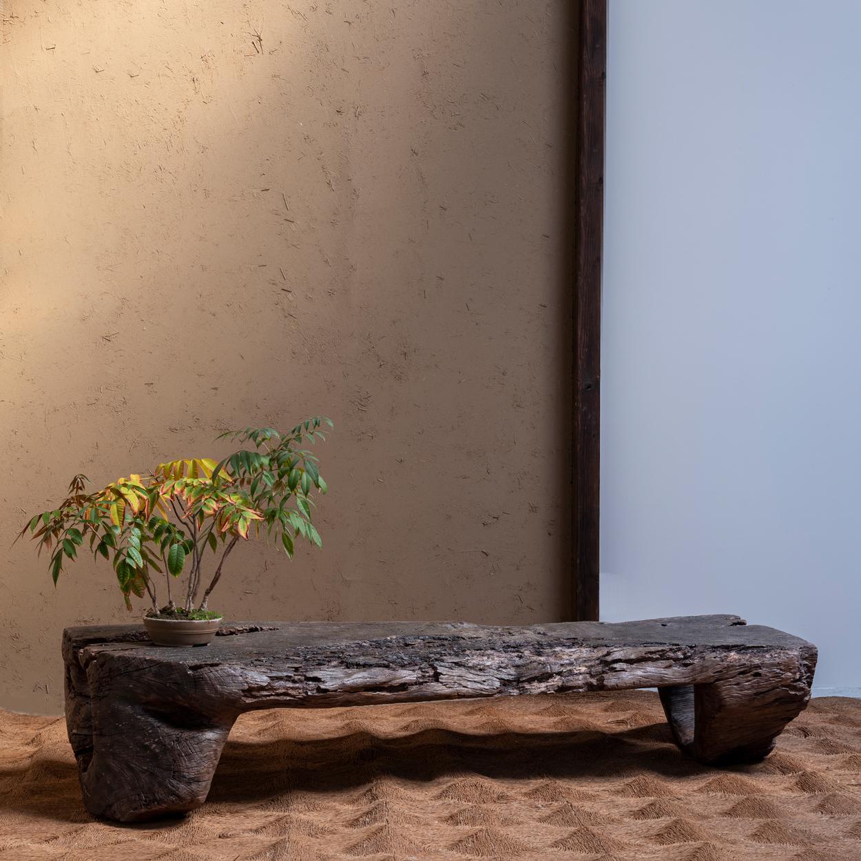 An oversized live edge coffee table with primitive and sculptural form. You will not find anything as dynamic as this.
Can be also used as a bench or a shop fixture.