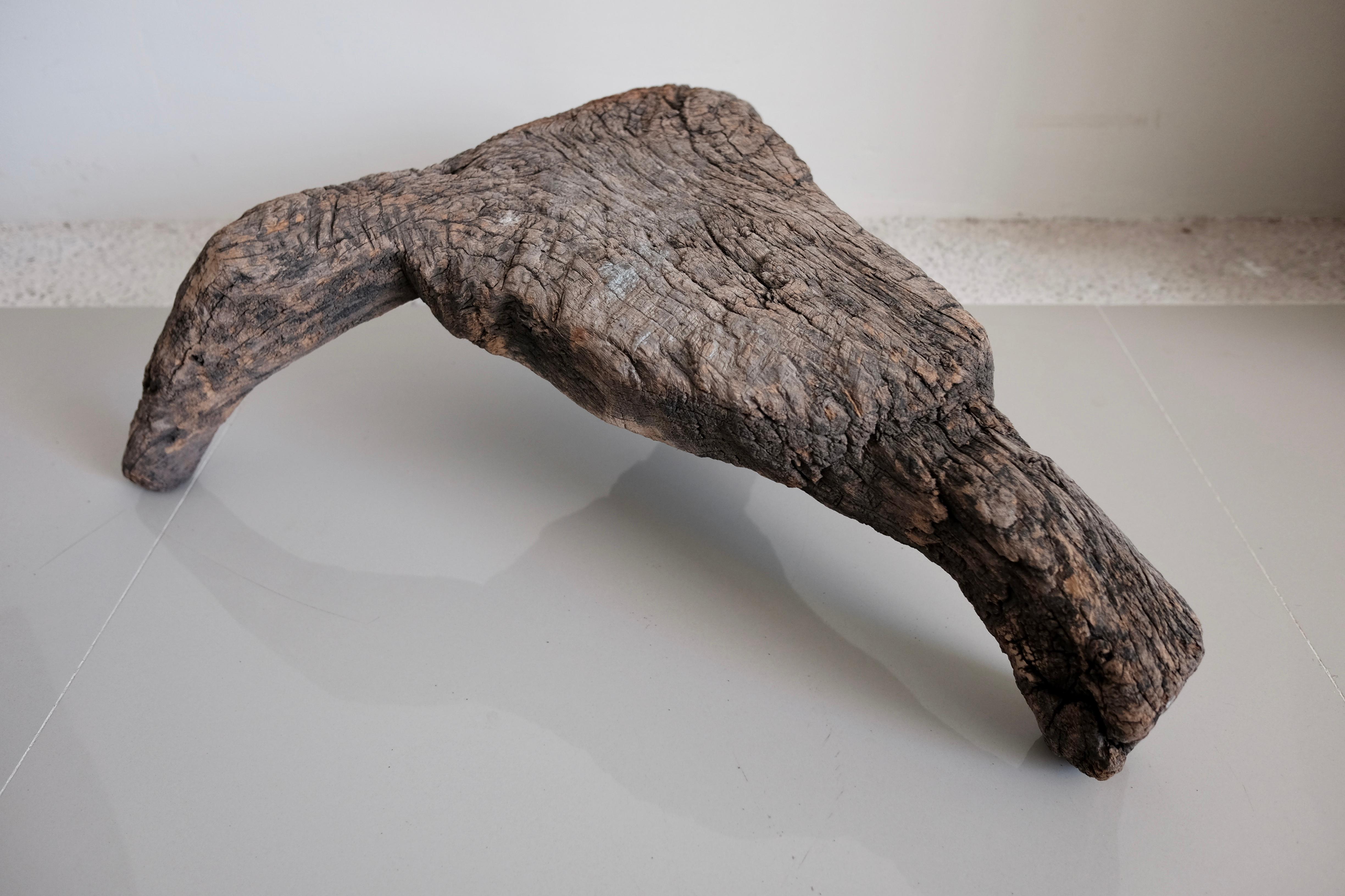 Primitive low platform mesquite stool from the Sierra Gorda of Guanajuato, Mexico. Surface shows significant wear and age.