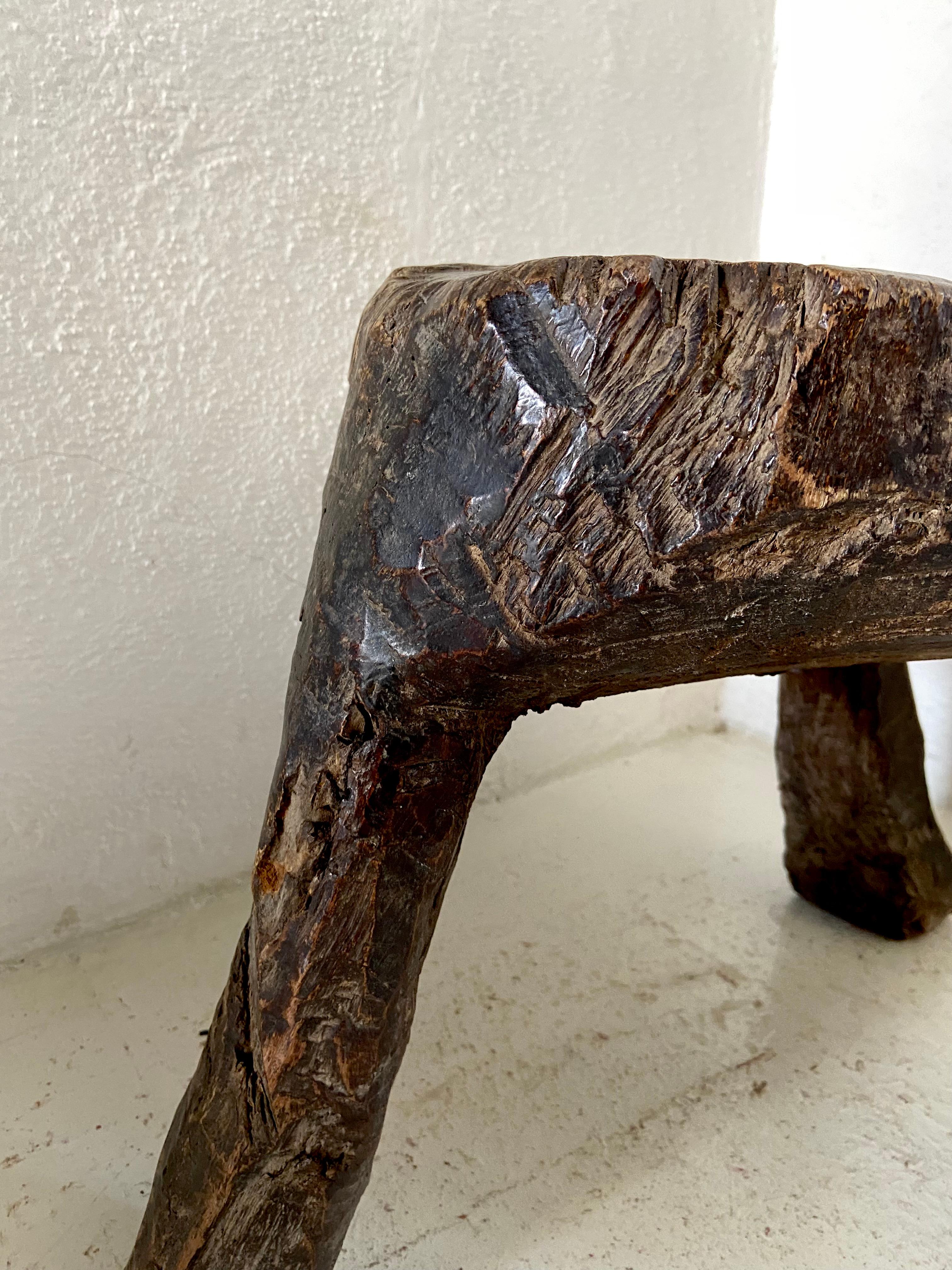 Primitiver Mesquite-Tisch in einem Stück von Artefakto (Moderne) im Angebot