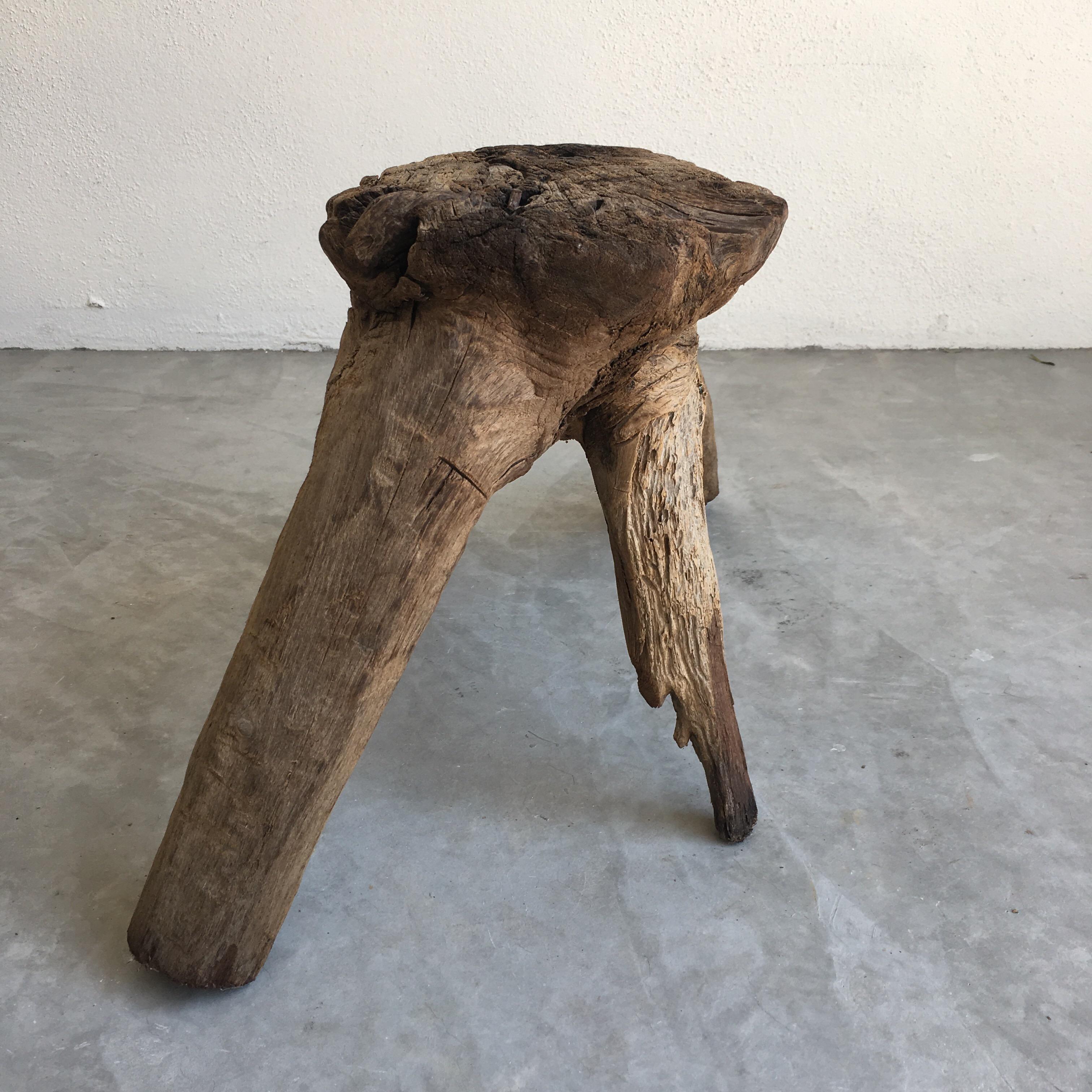 Primitive hardwood mesquite stool from the Sierra Gorda region of Mexico. Rare four legged item. One of a kind piece.