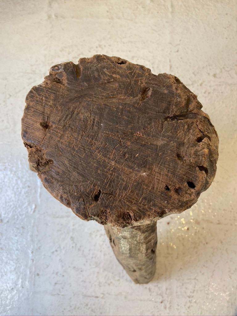 Rustic Mesquite Stool from Mexico, Late 19th Century 2