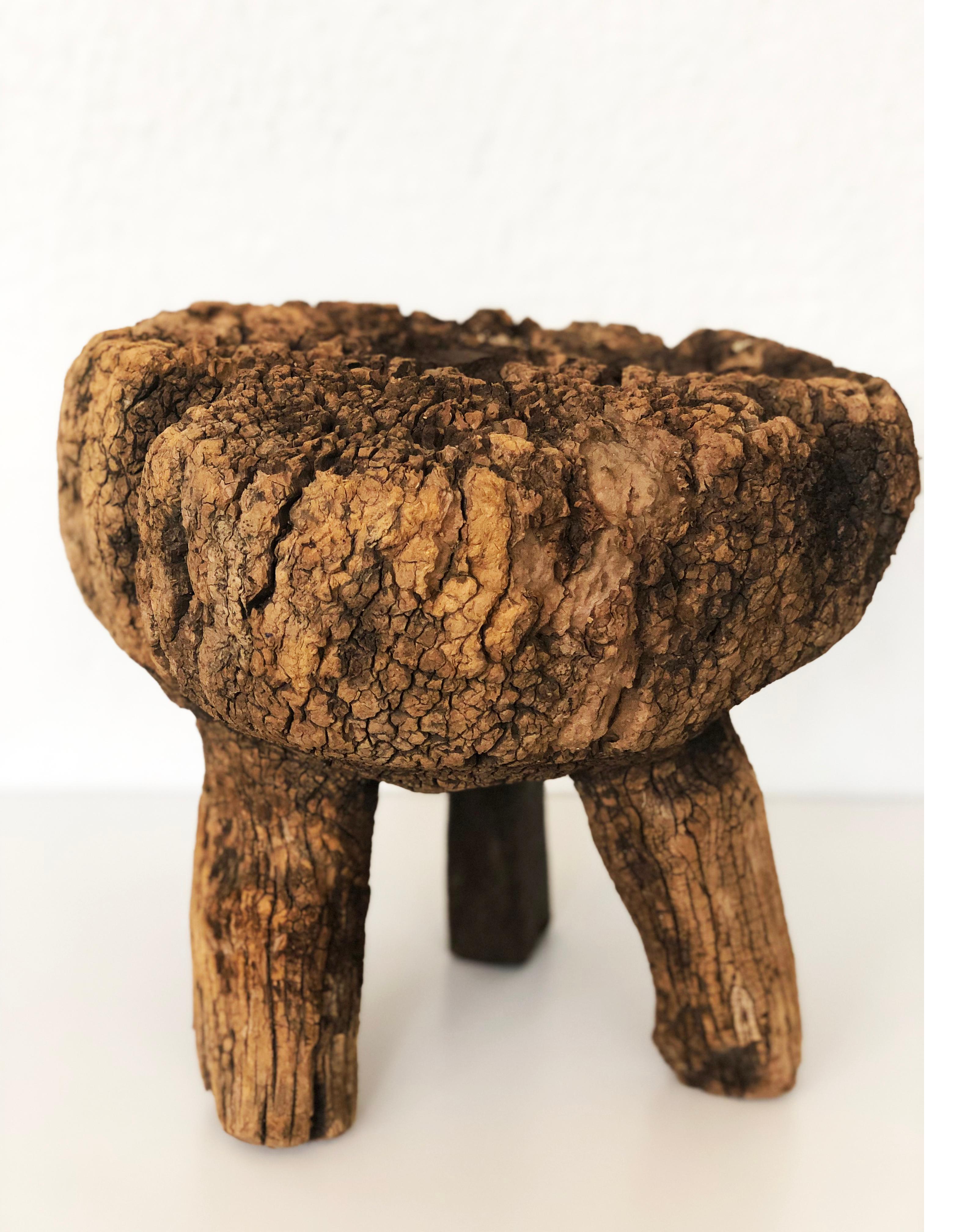 Primitive Mexican Mezquite Wood Milking Stool, circa 1900 In Fair Condition In Guadalajra, Jal