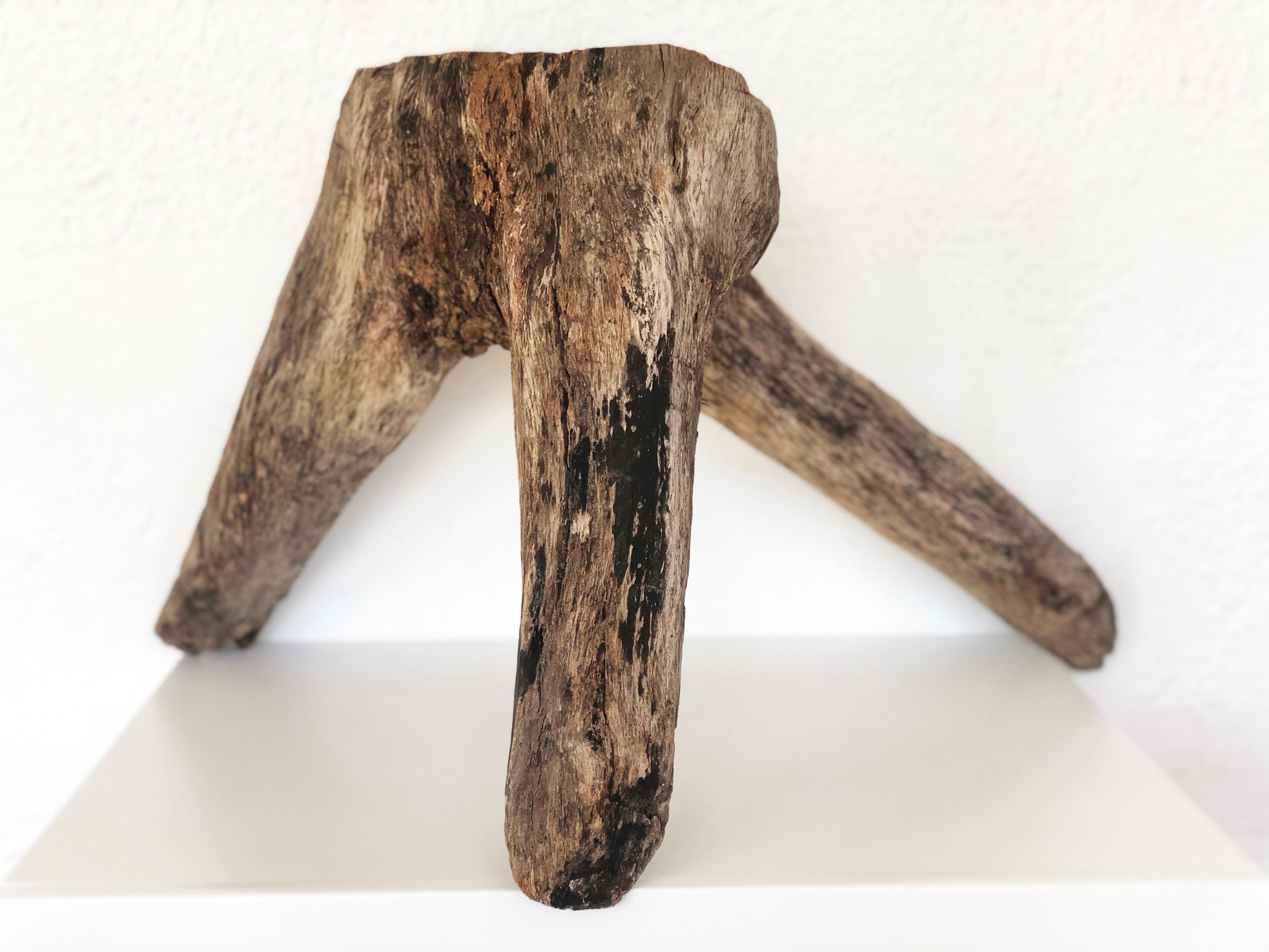 Hand-Carved Primitive Mexican Oakwood Milking Stool from México