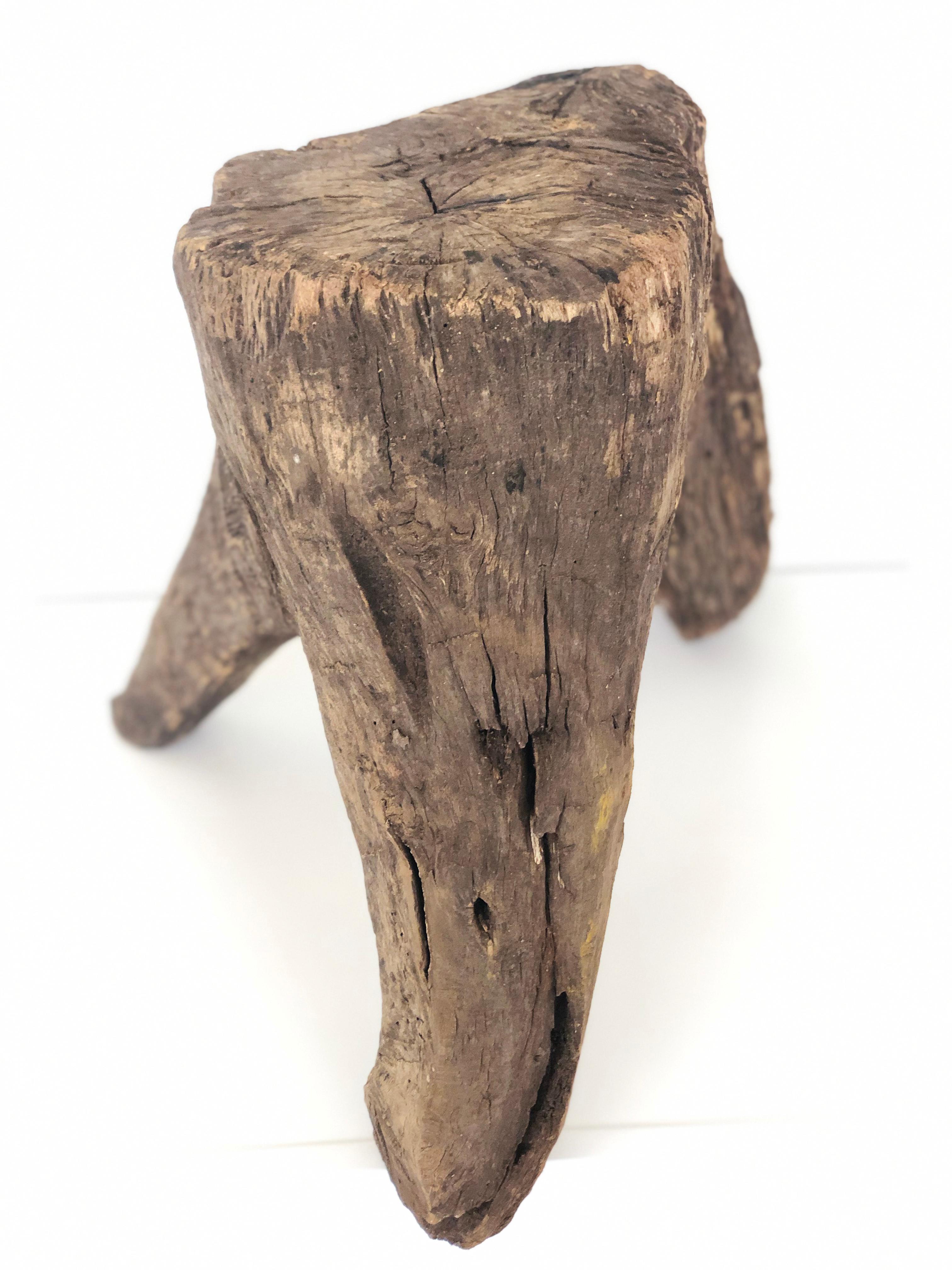 19th Century Primitive Mexican Oakwood Milking Stool from México