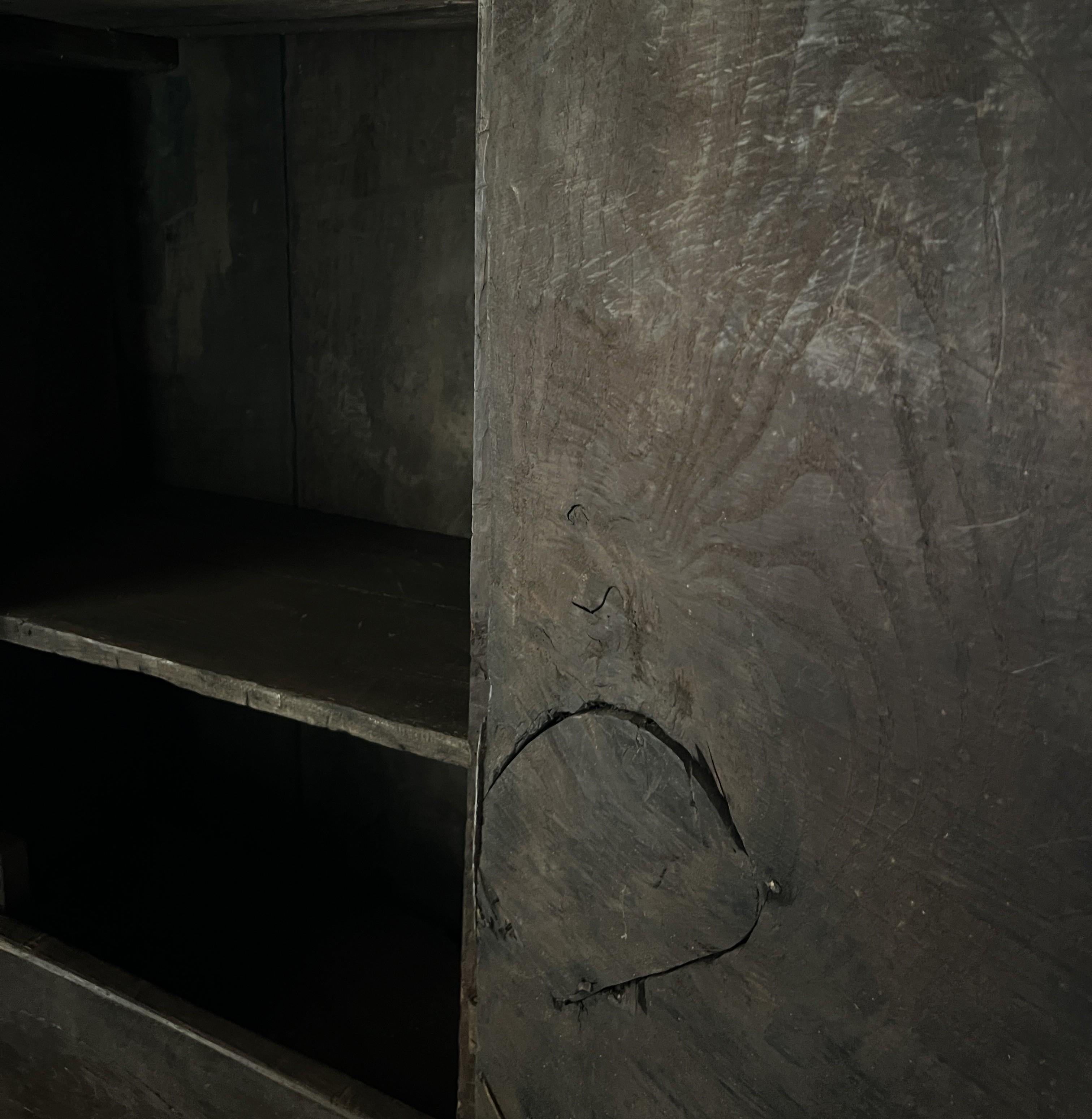 Armoire de montagne primitive 3