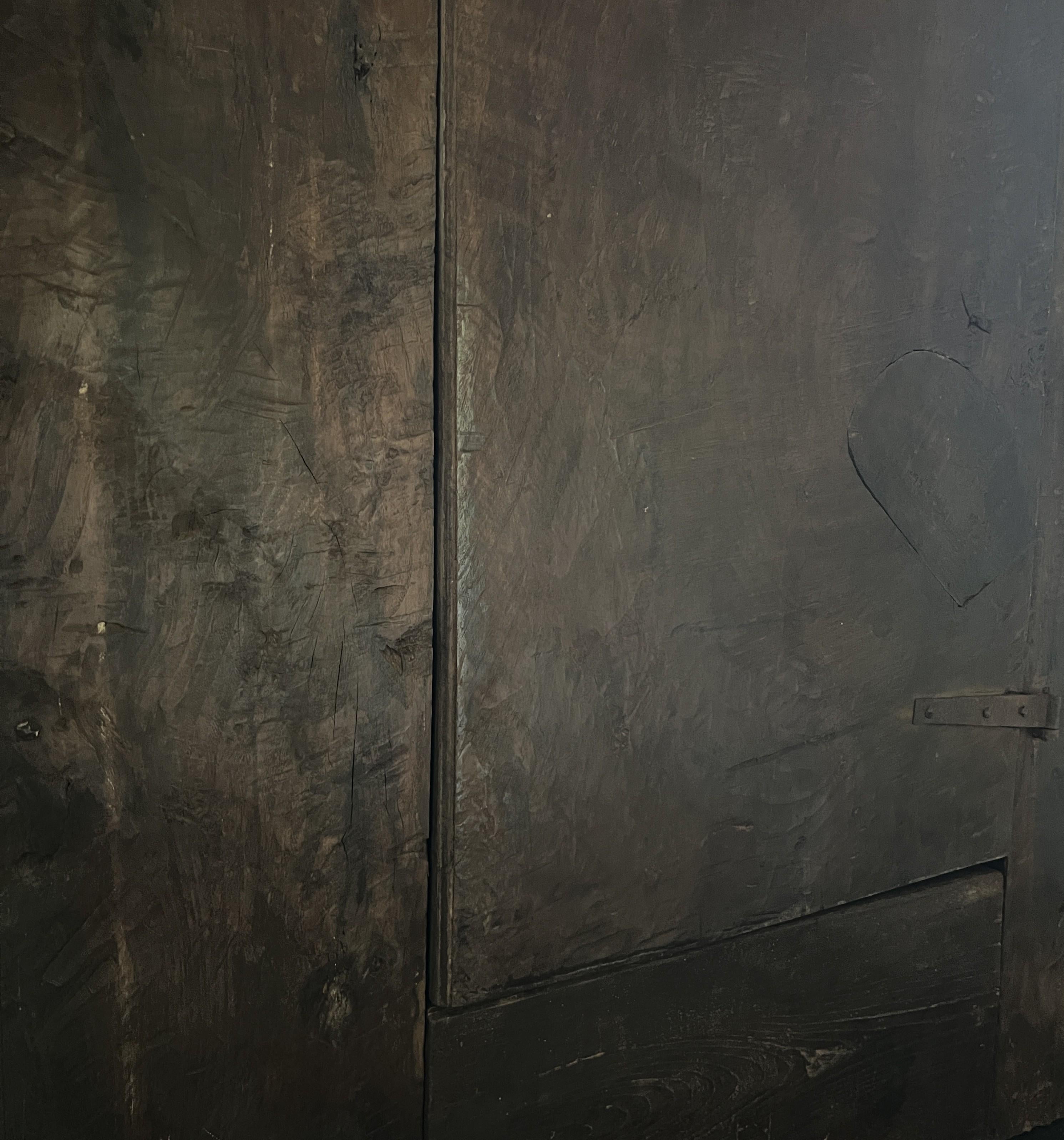 Fait main Armoire de montagne primitive