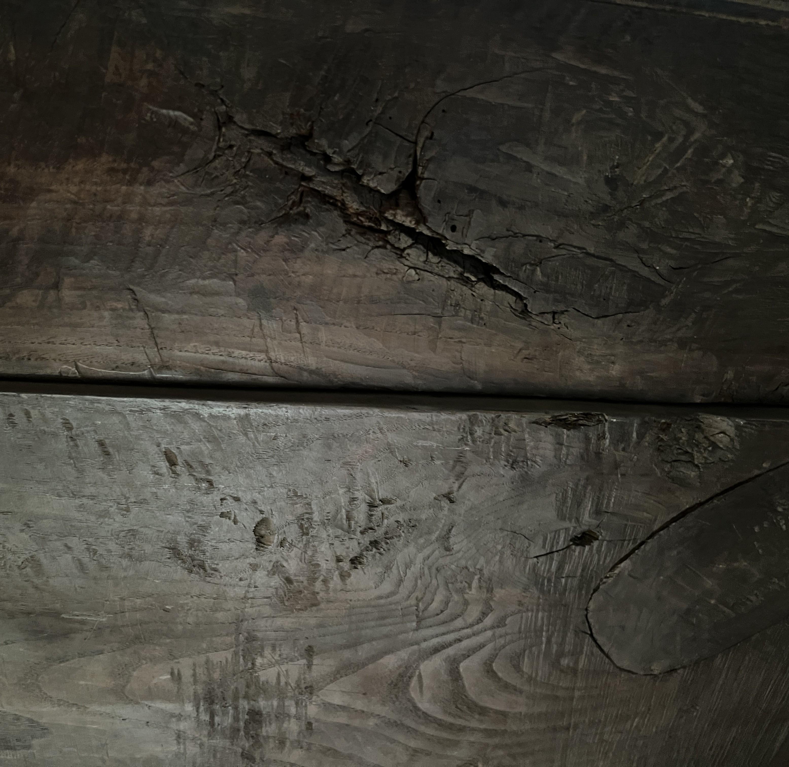 Châtaignier Armoire de montagne primitive
