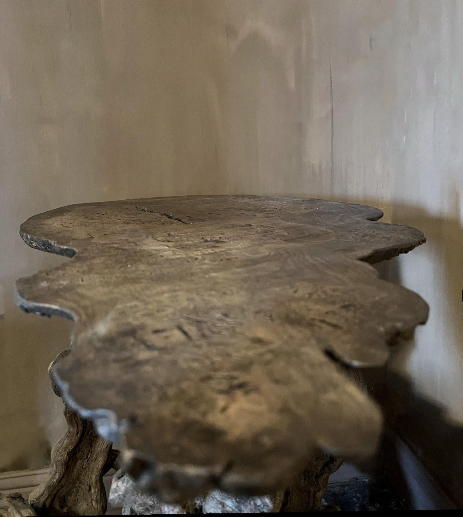 Primitive Organic Roottable 3