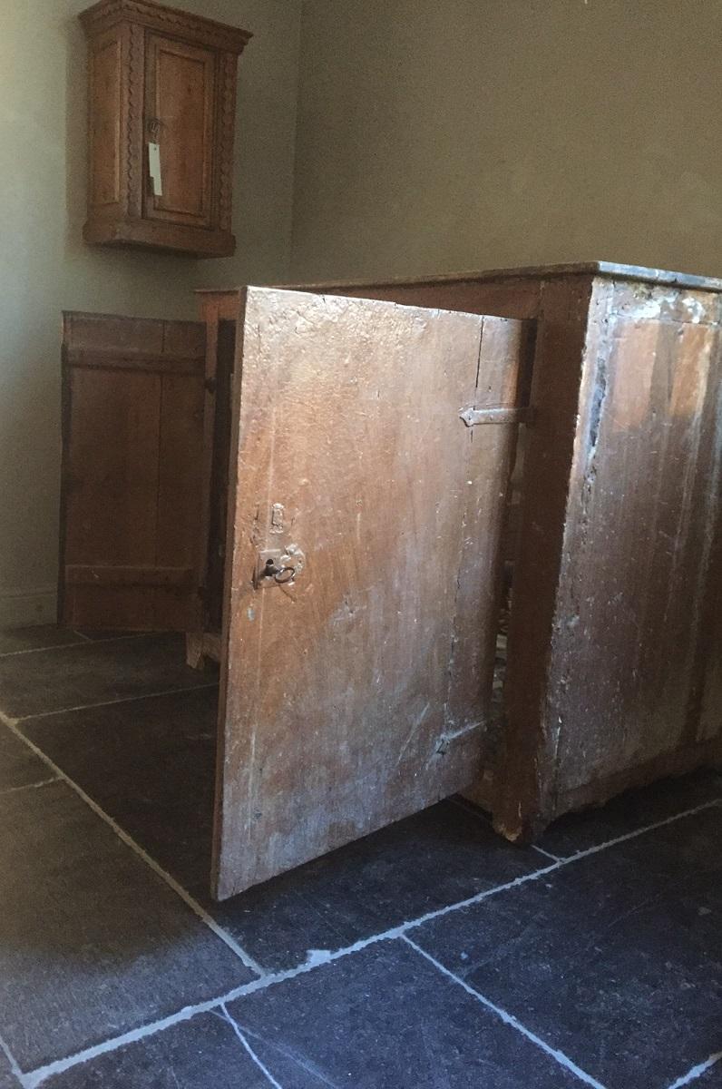 Armoire peinte, XIXe siècle en vente 2