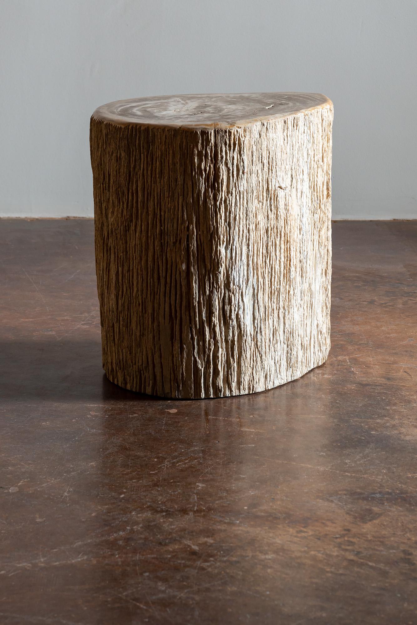 A 20th century primitive stump form side table of petrified wood, with polished top surface.