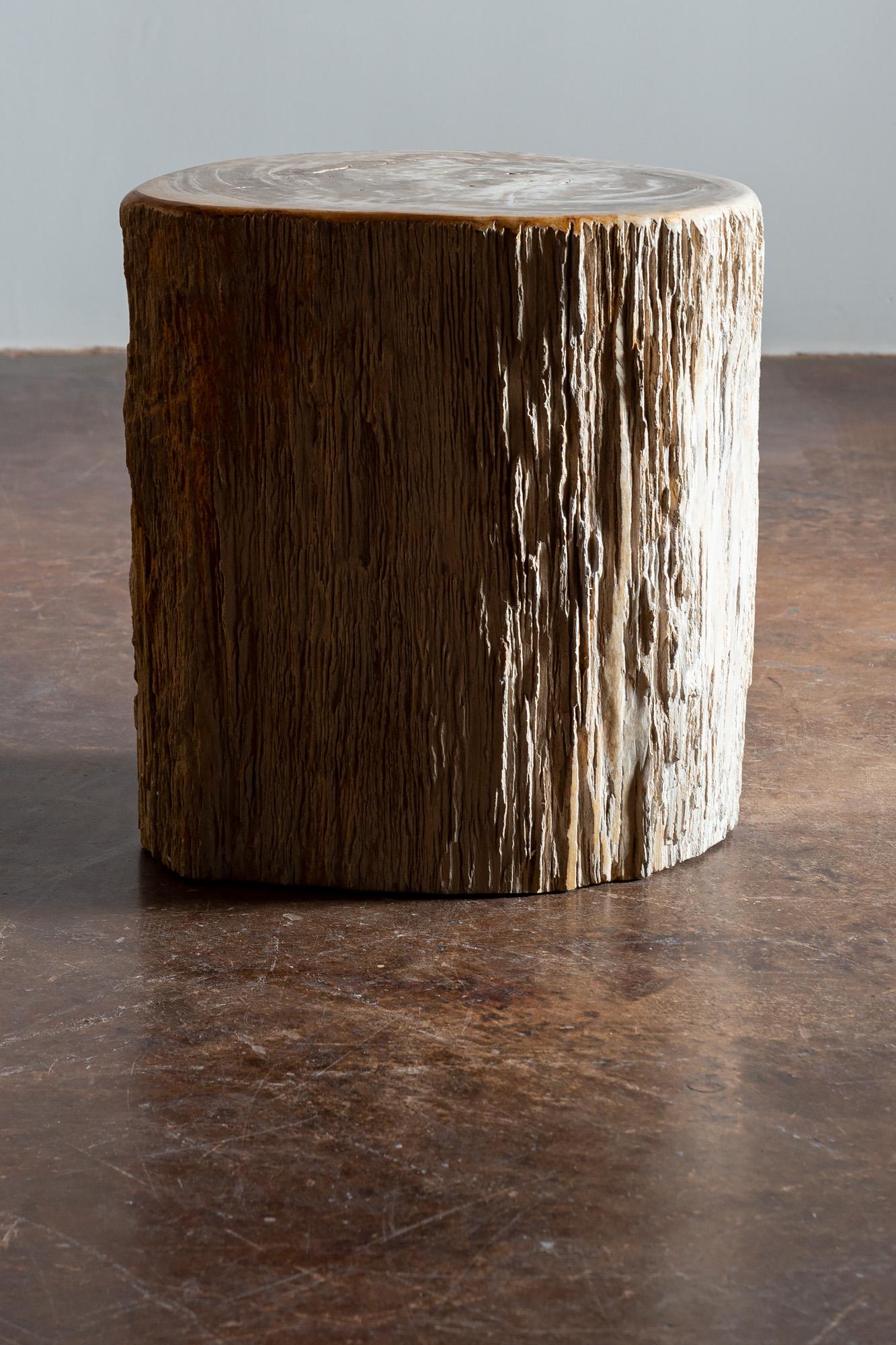 petrified wood stump for sale