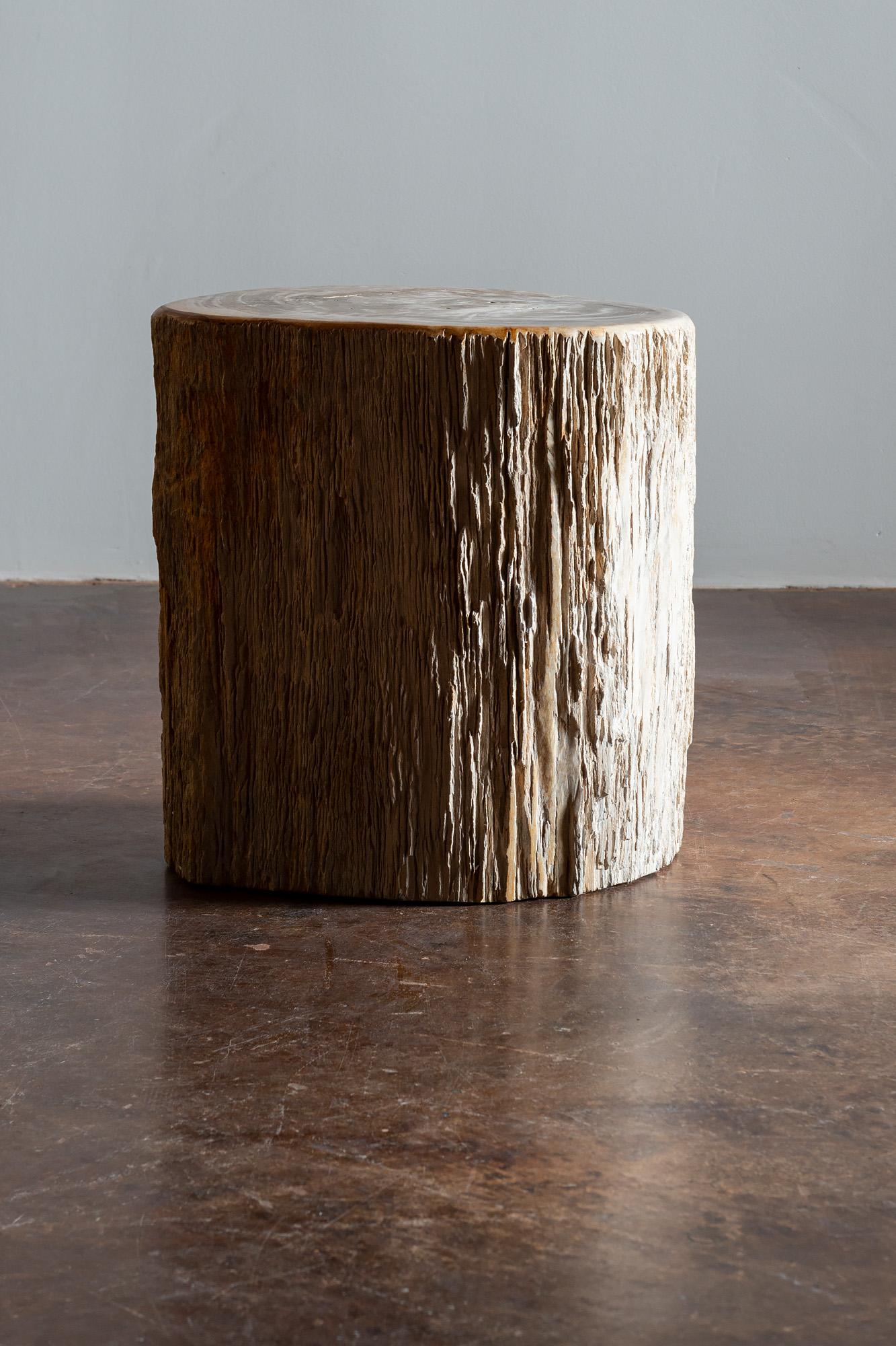 petrified wood stump side table