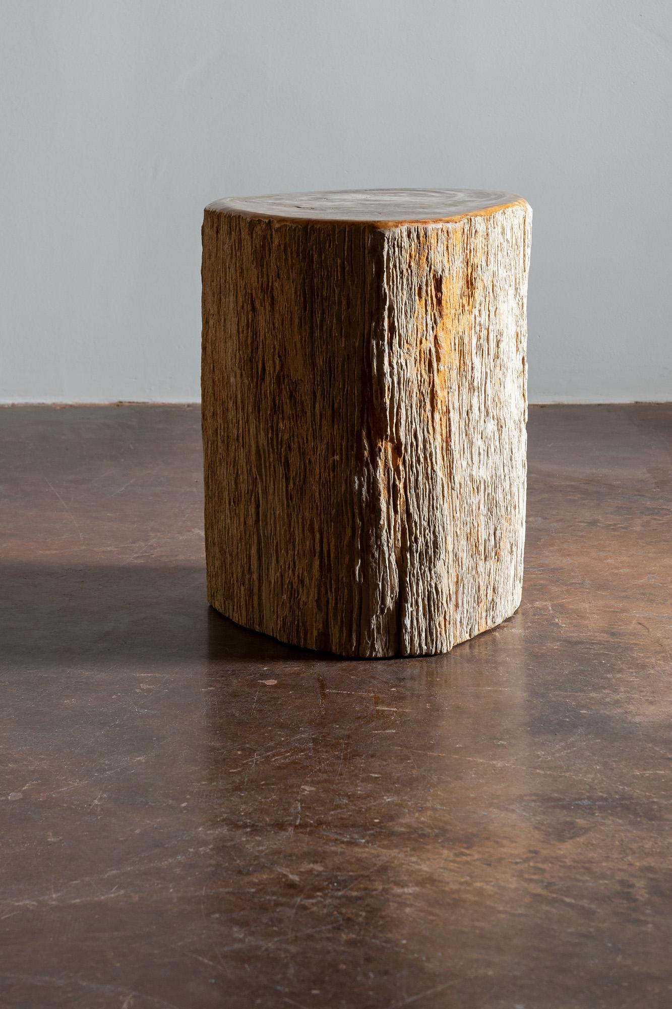 petrified wood stump table