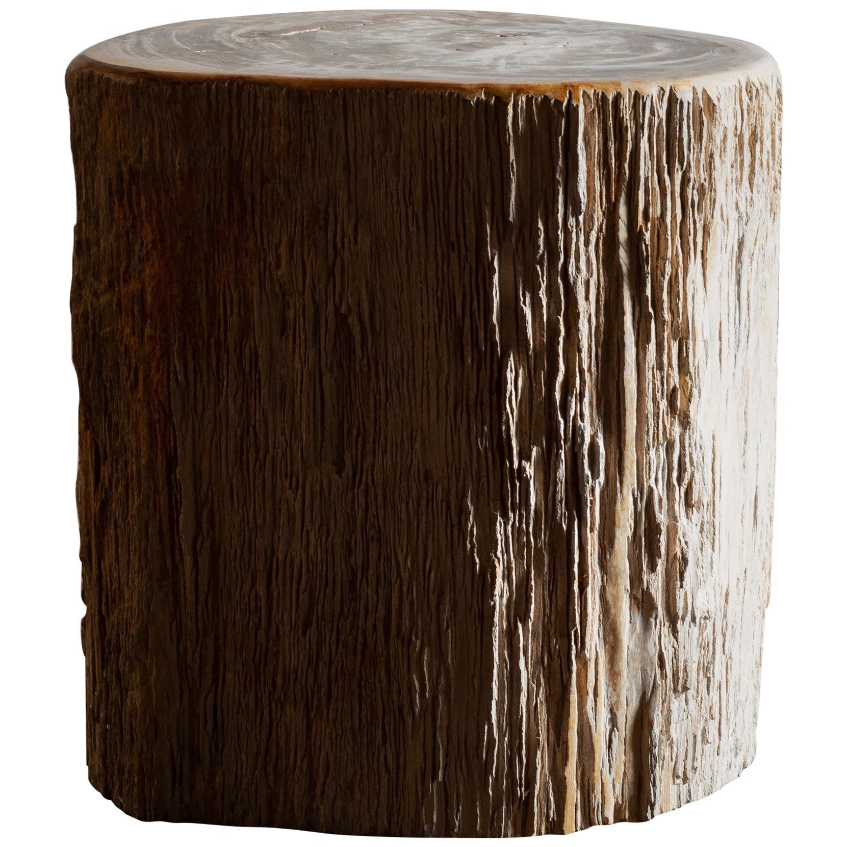 Primitive Petrified Wood Stump Form Side Table