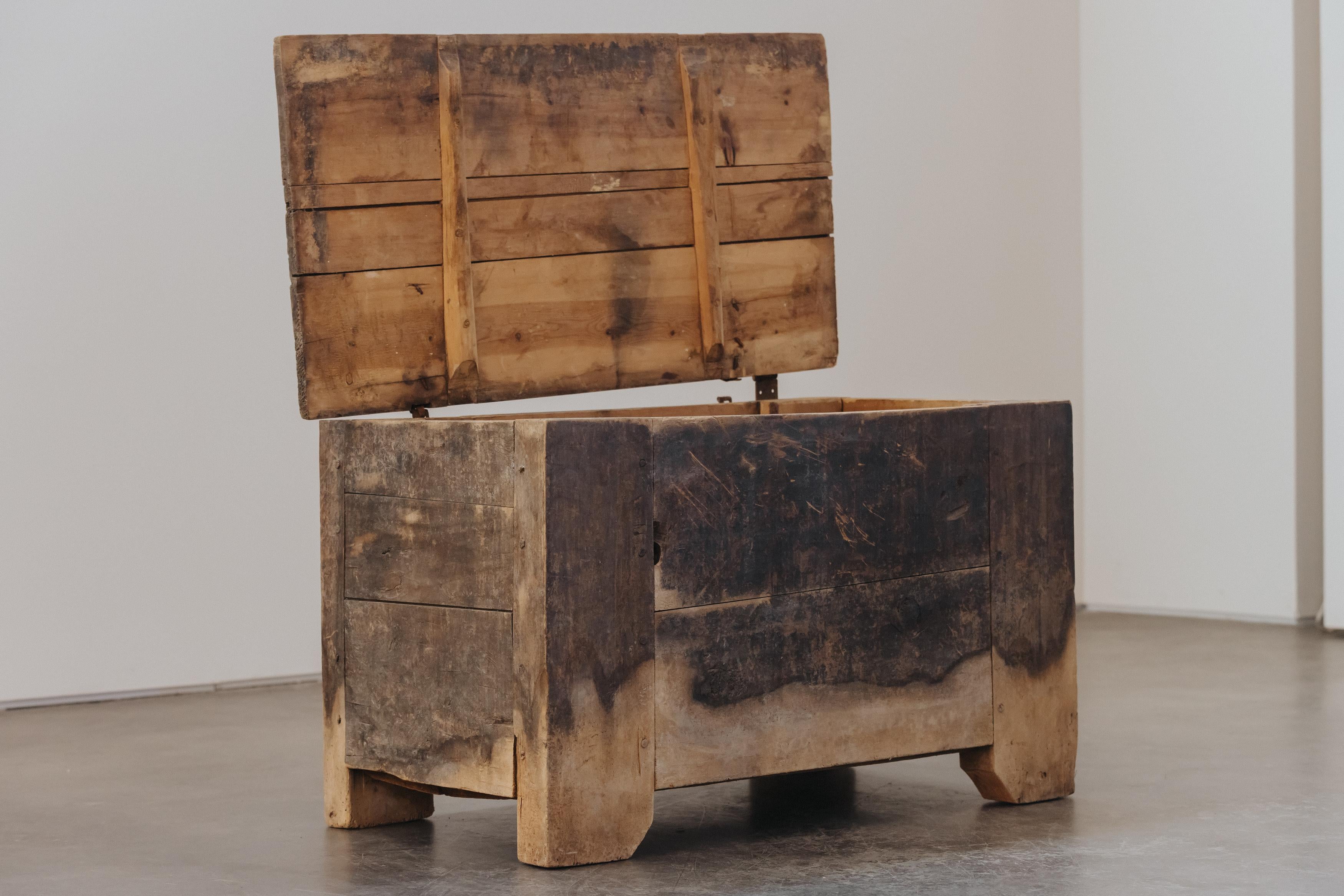 Primitive Pine Trunk From Italy, Circa 1800 For Sale 1