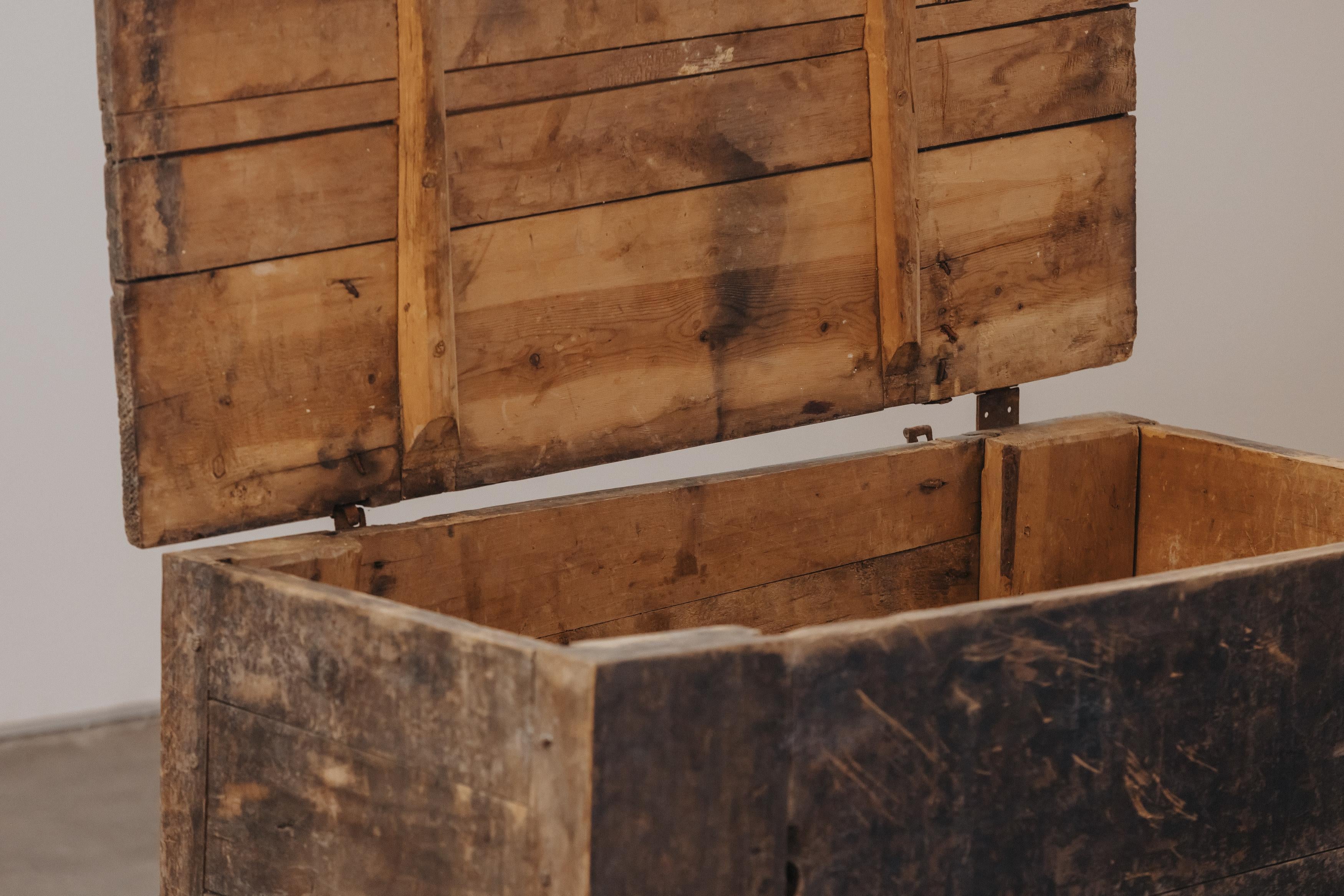 Primitive Pine Trunk From Italy, Circa 1800 For Sale 2