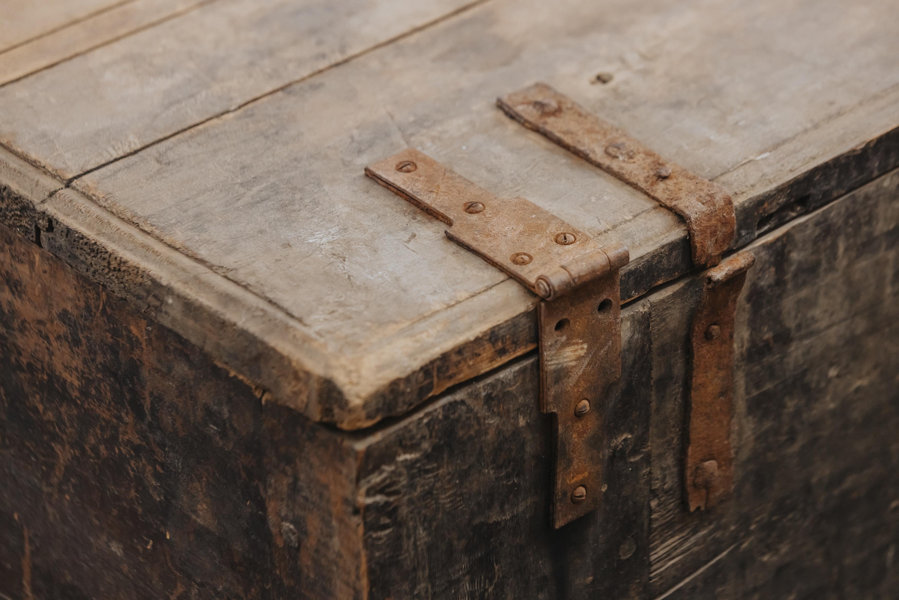 Primitive Pine Trunk From Italy, Circa 1800 For Sale 4