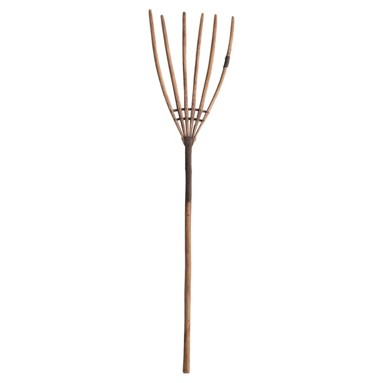 Primitive Pitchfork at 1stDibs